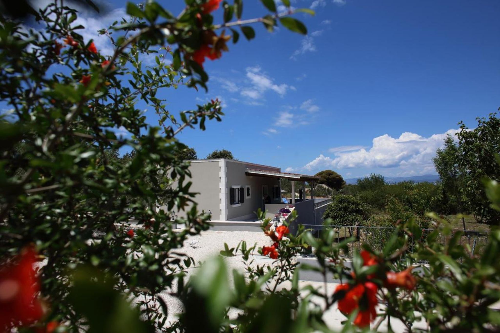 House Meri 91881-K1