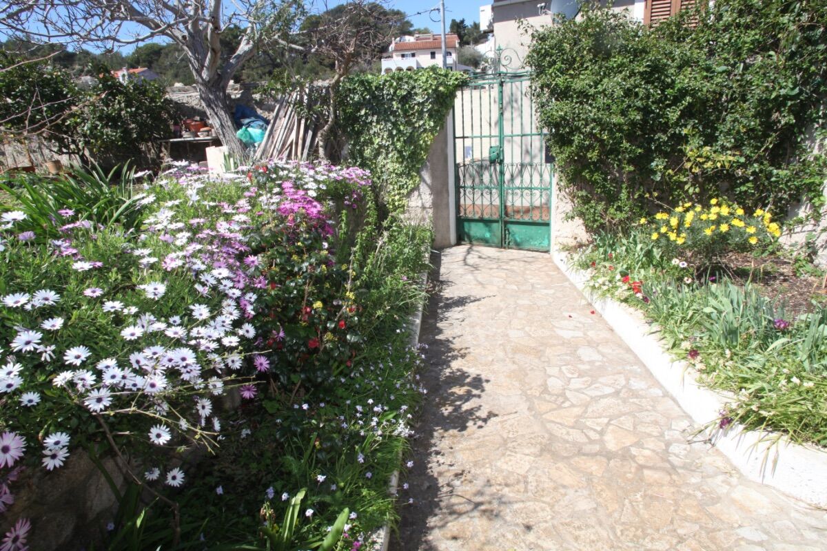 Apartments Anita 64421-A1