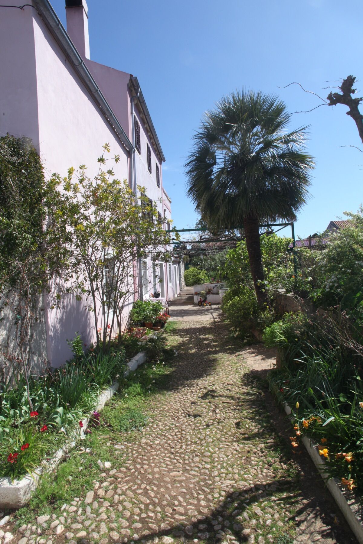 Apartments Anita 64421-A1