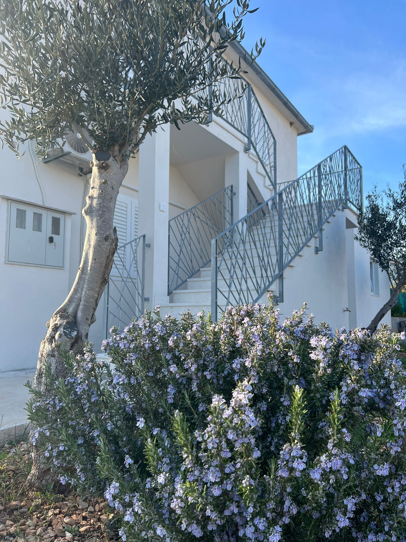 Apartment Natasa 33001-A1