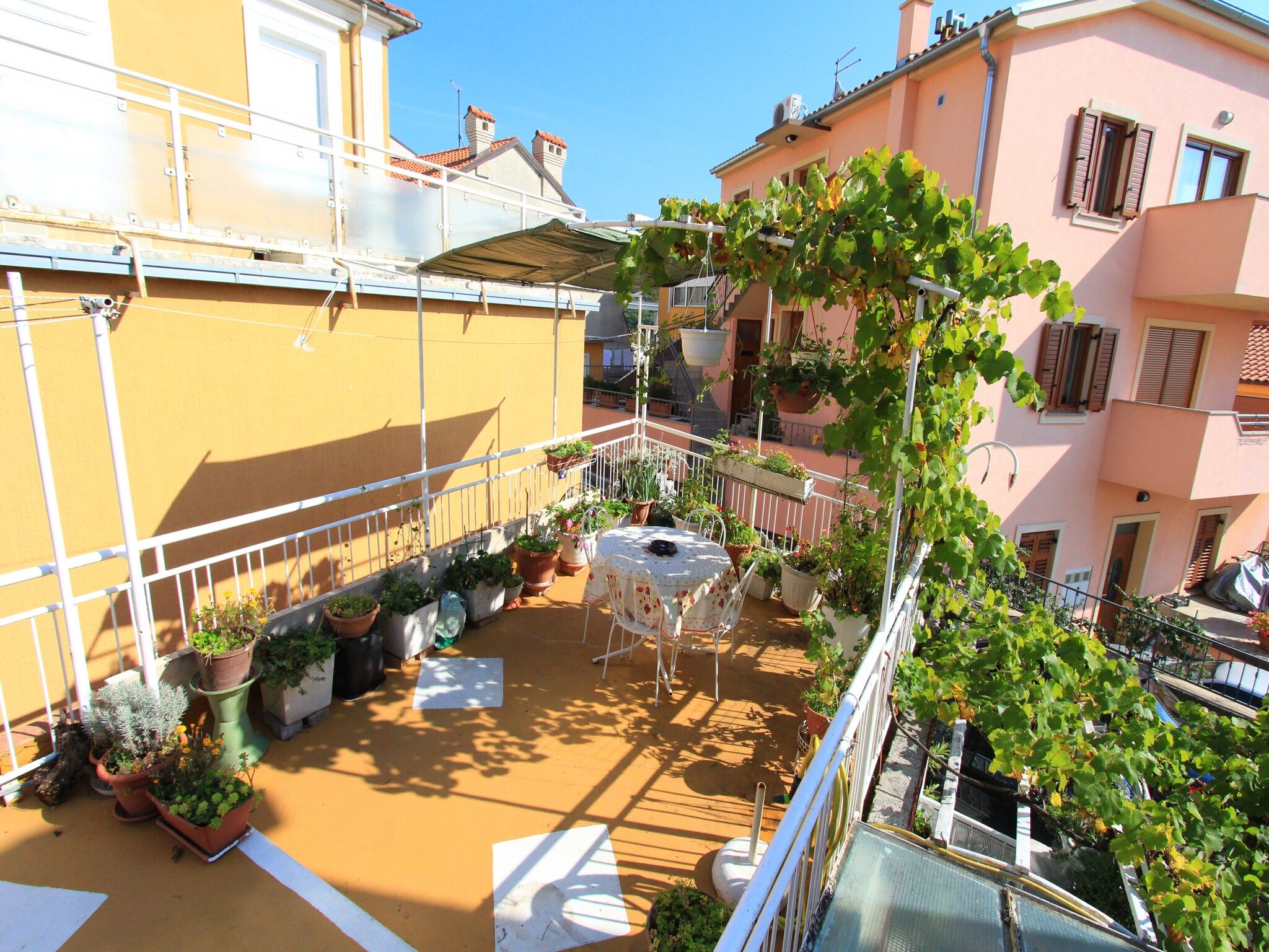 Apartments FEĐA 62603-A1