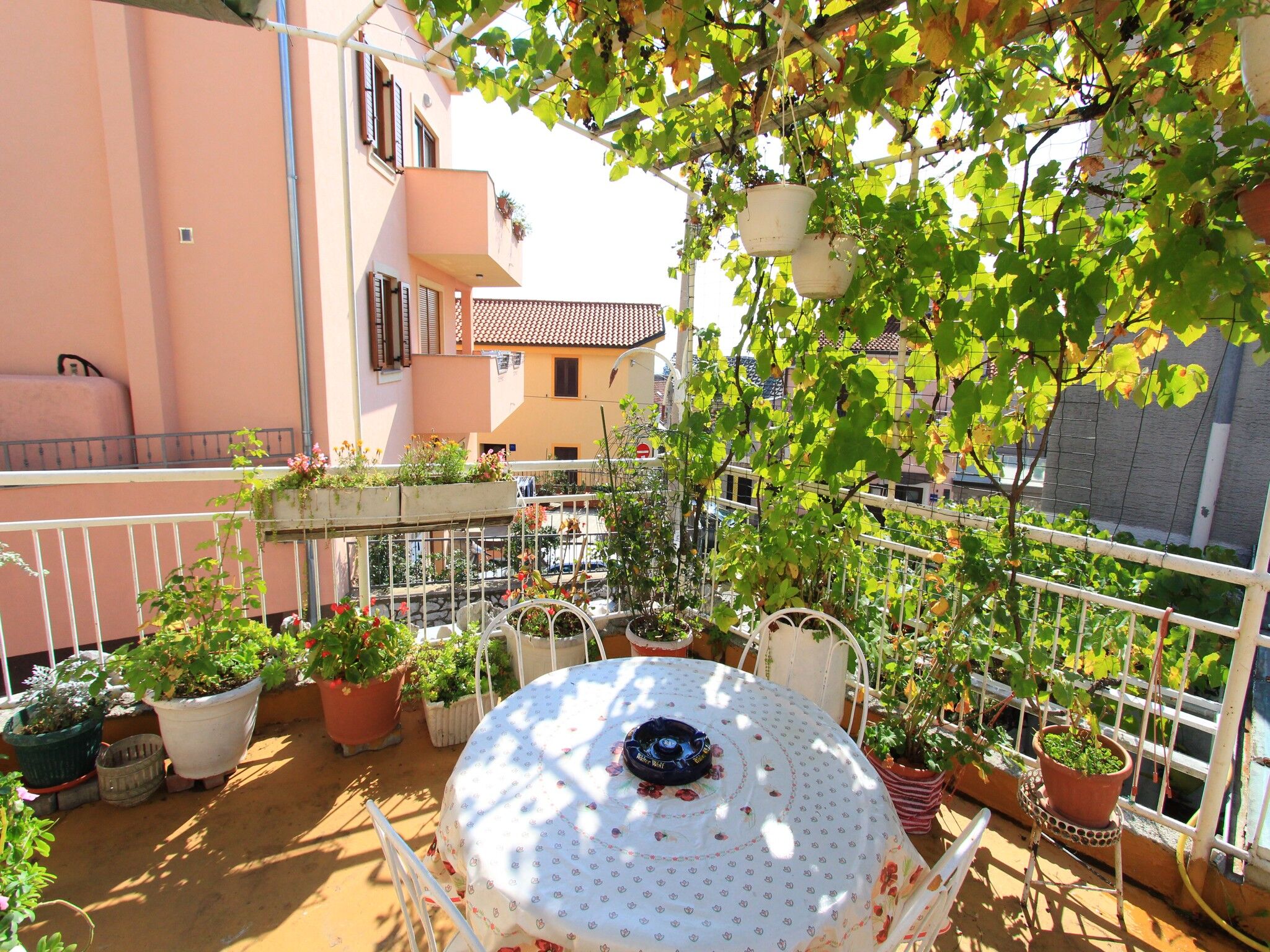 Apartments FEĐA 62603-A1