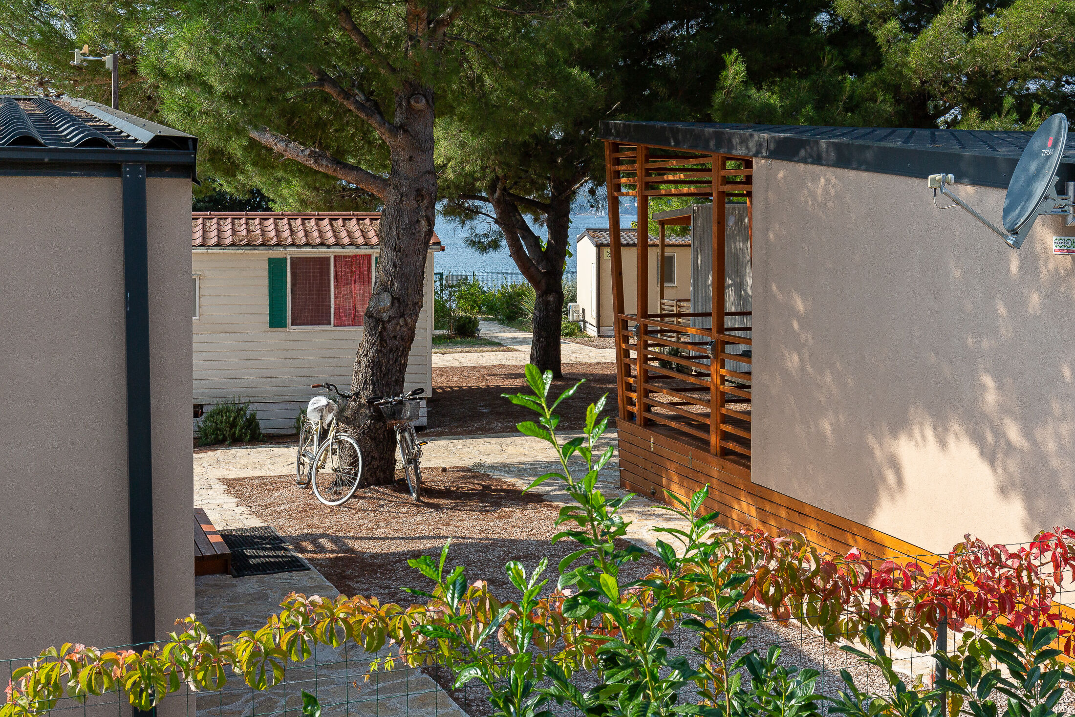 Photo of Mobile home Kastanjola