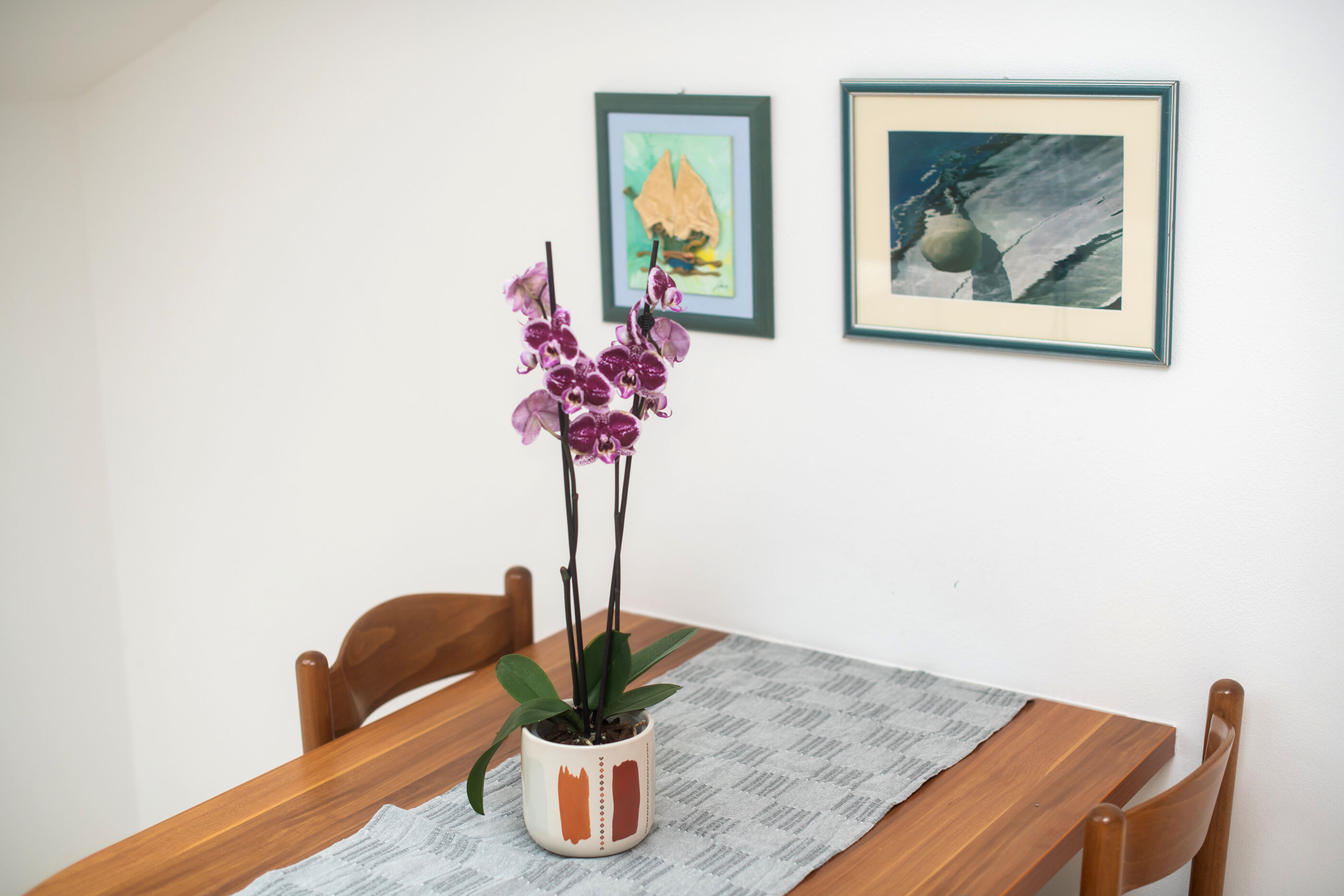 Apartments Karolina 20211-A5