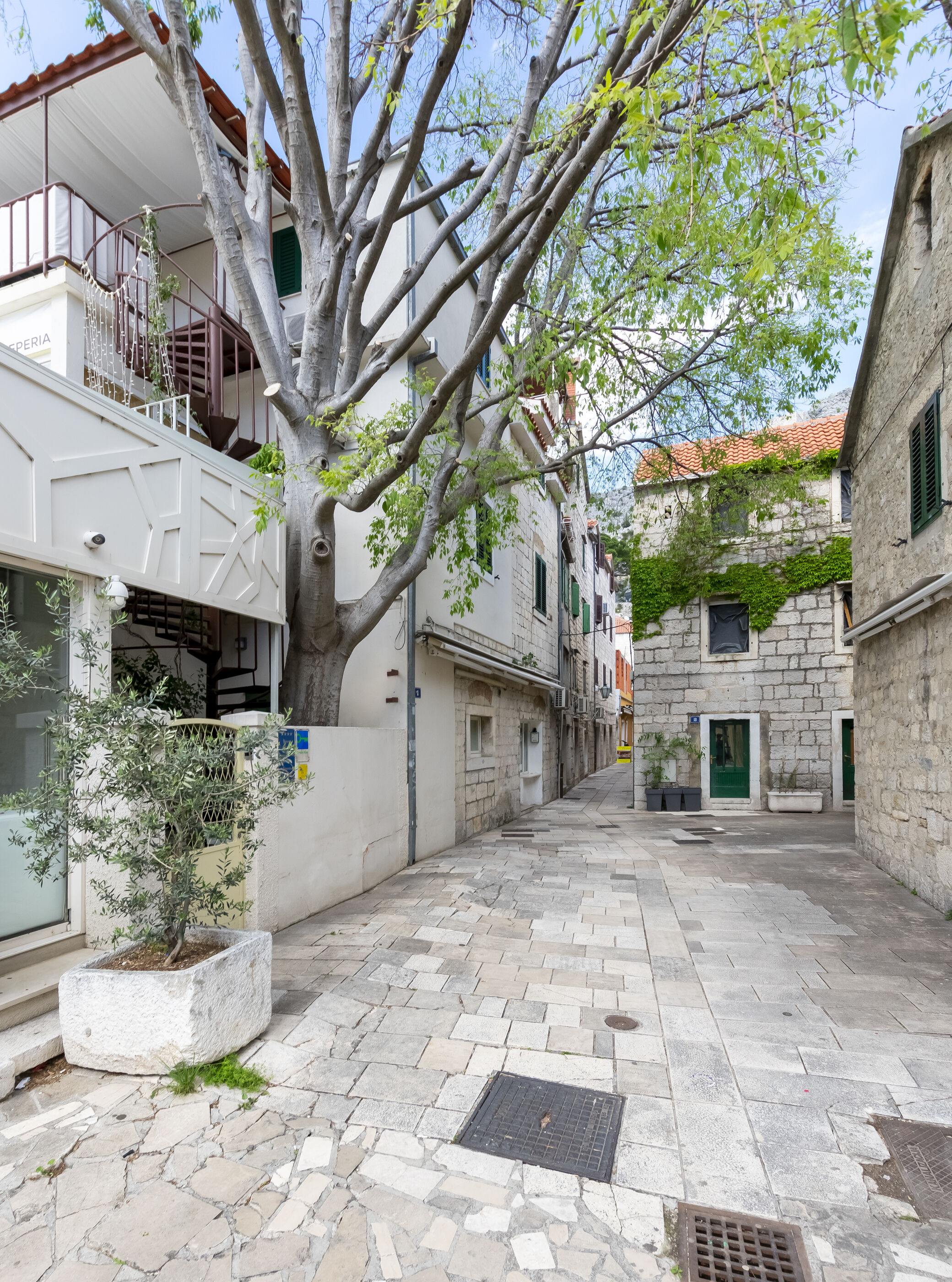 Apartment Ivanka 51271-A1