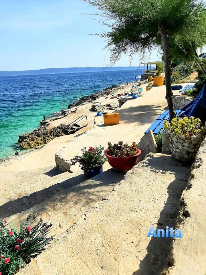 Apartment Anita 46411-A1