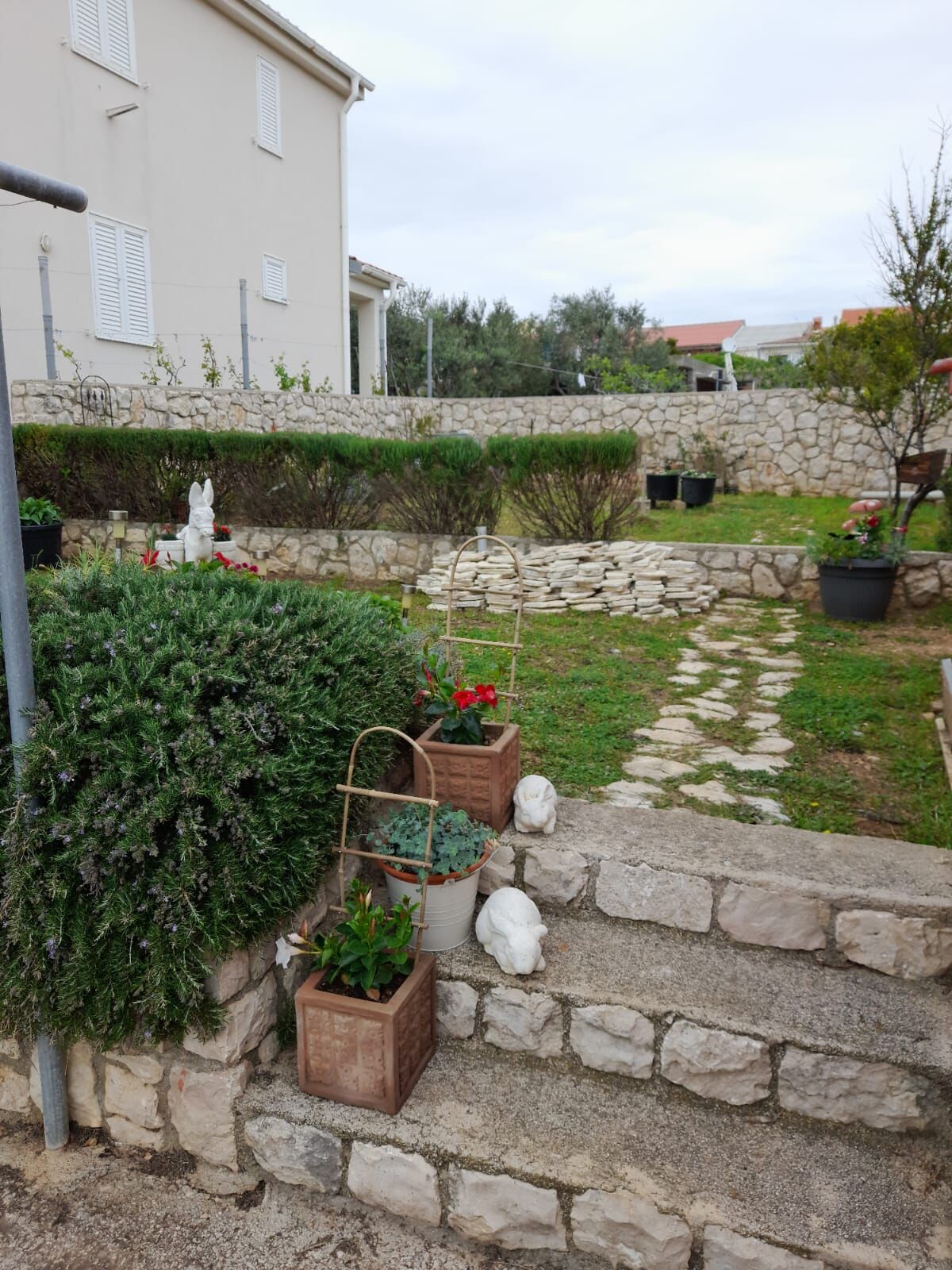 Apartment Dubravka 25781-A1