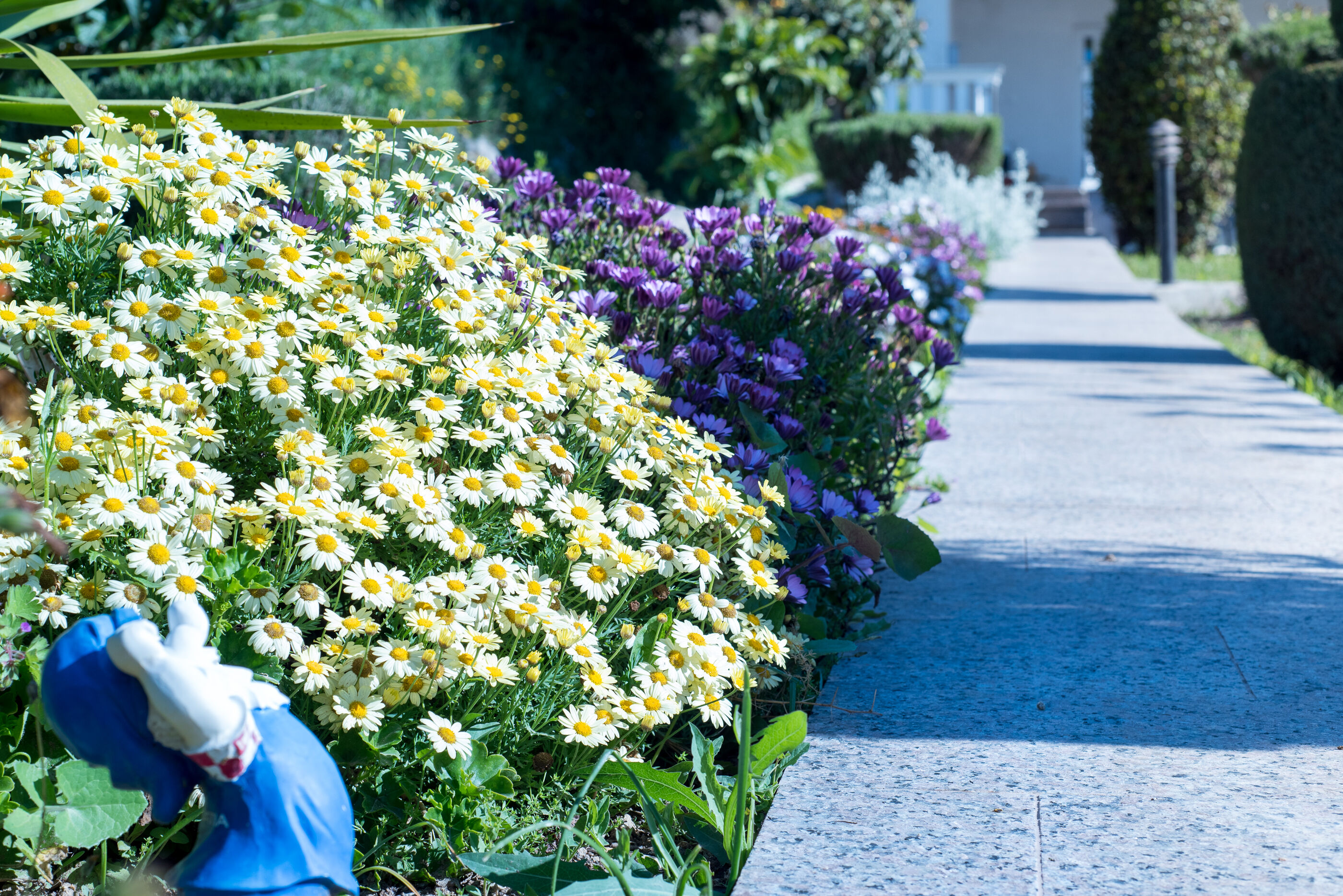 Photo of Apartment Gorana