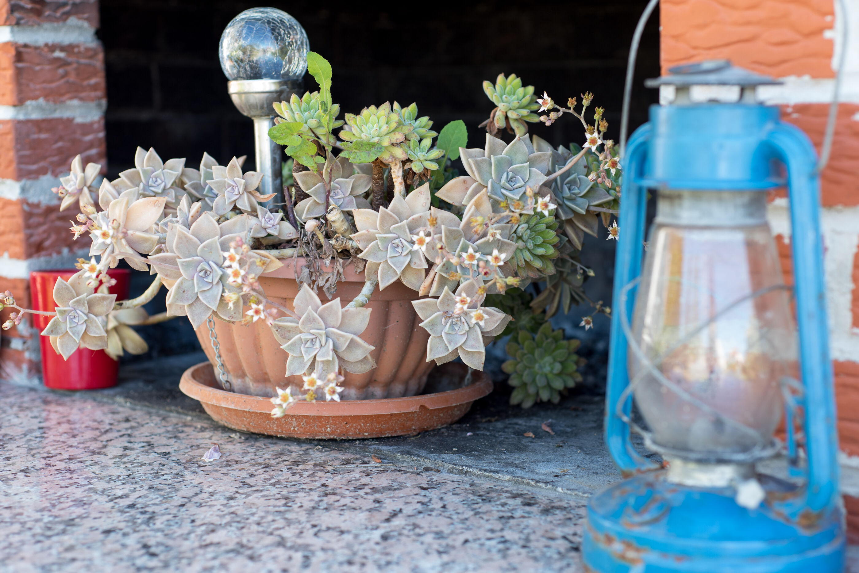 Photo of Apartment Gorana