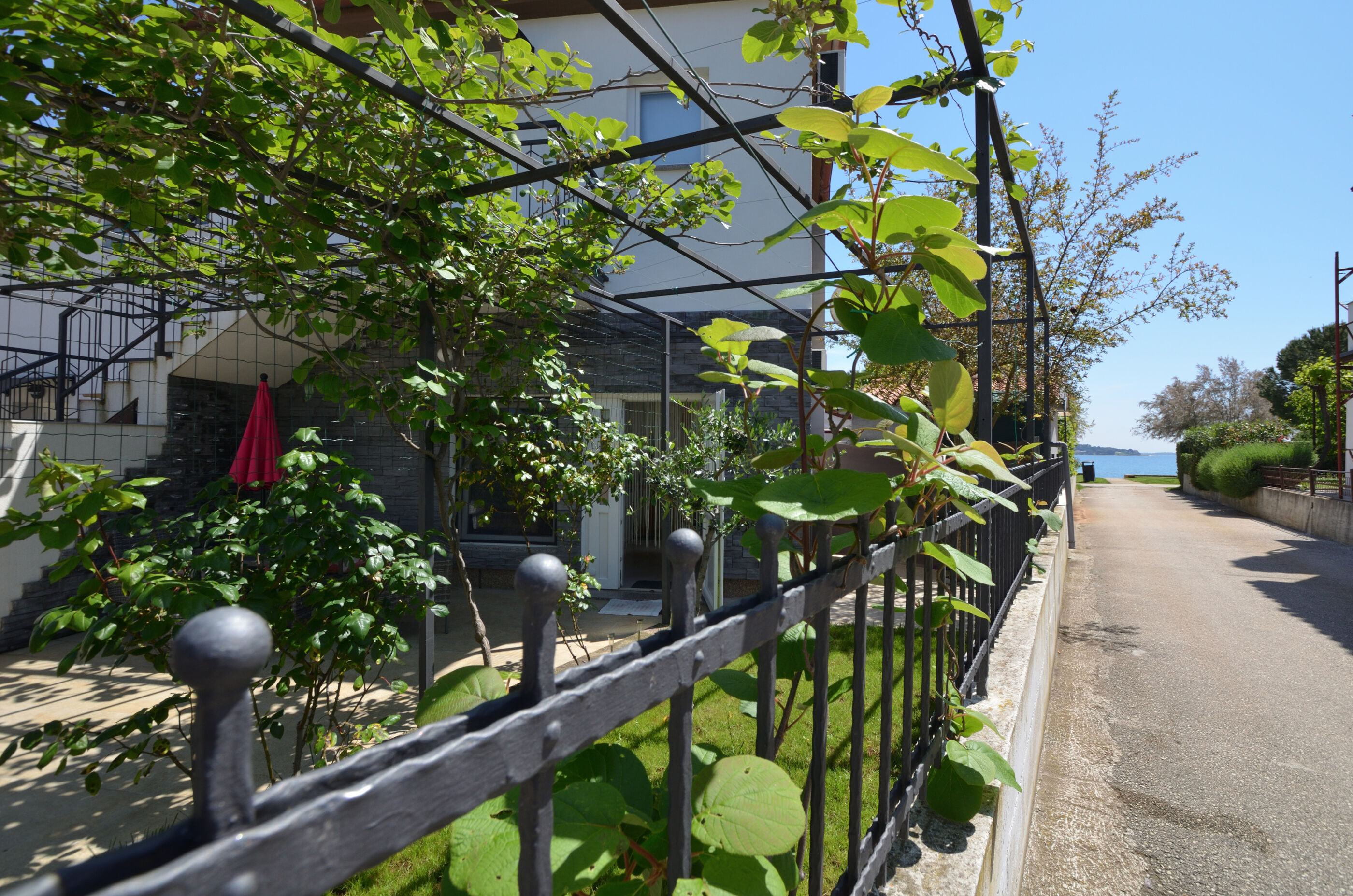 Photo of Apartments Pintar