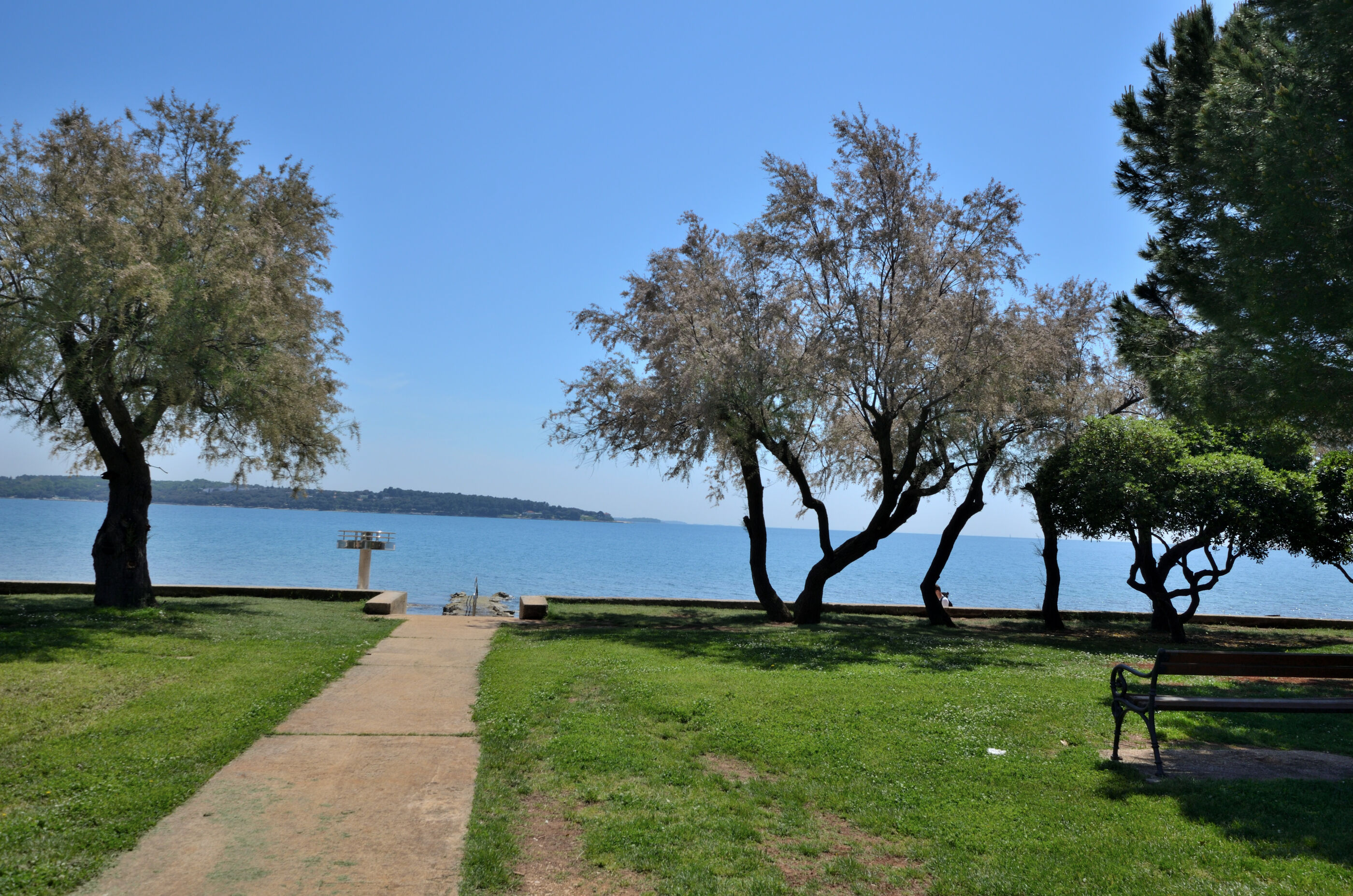 Photo of Apartments Pintar