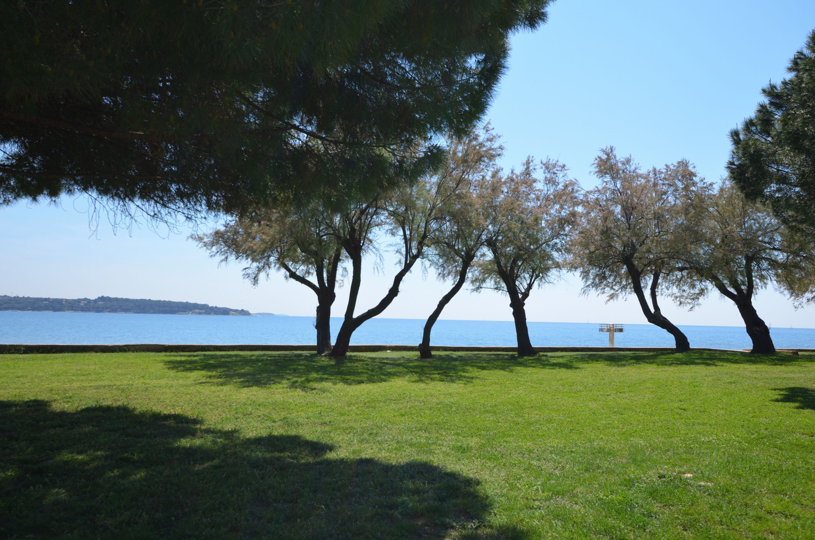 Photo of Apartments Pintar