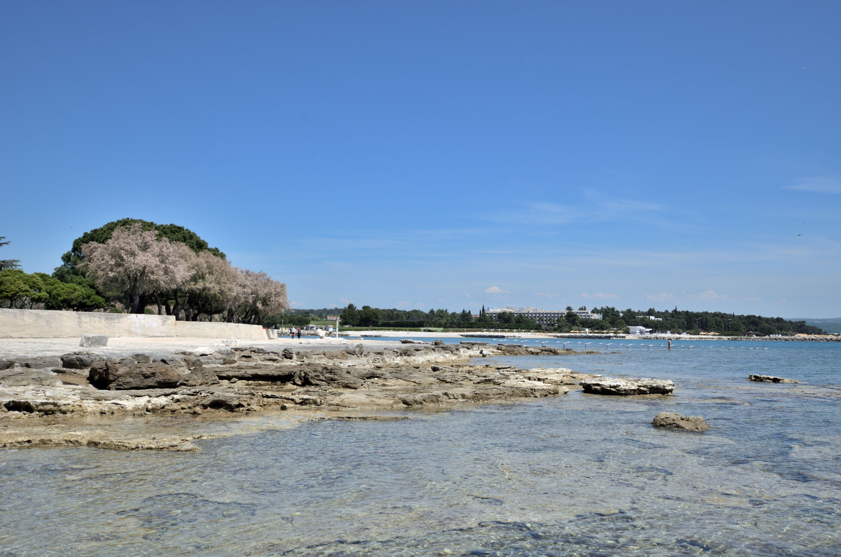 Photo of Apartments Pintar