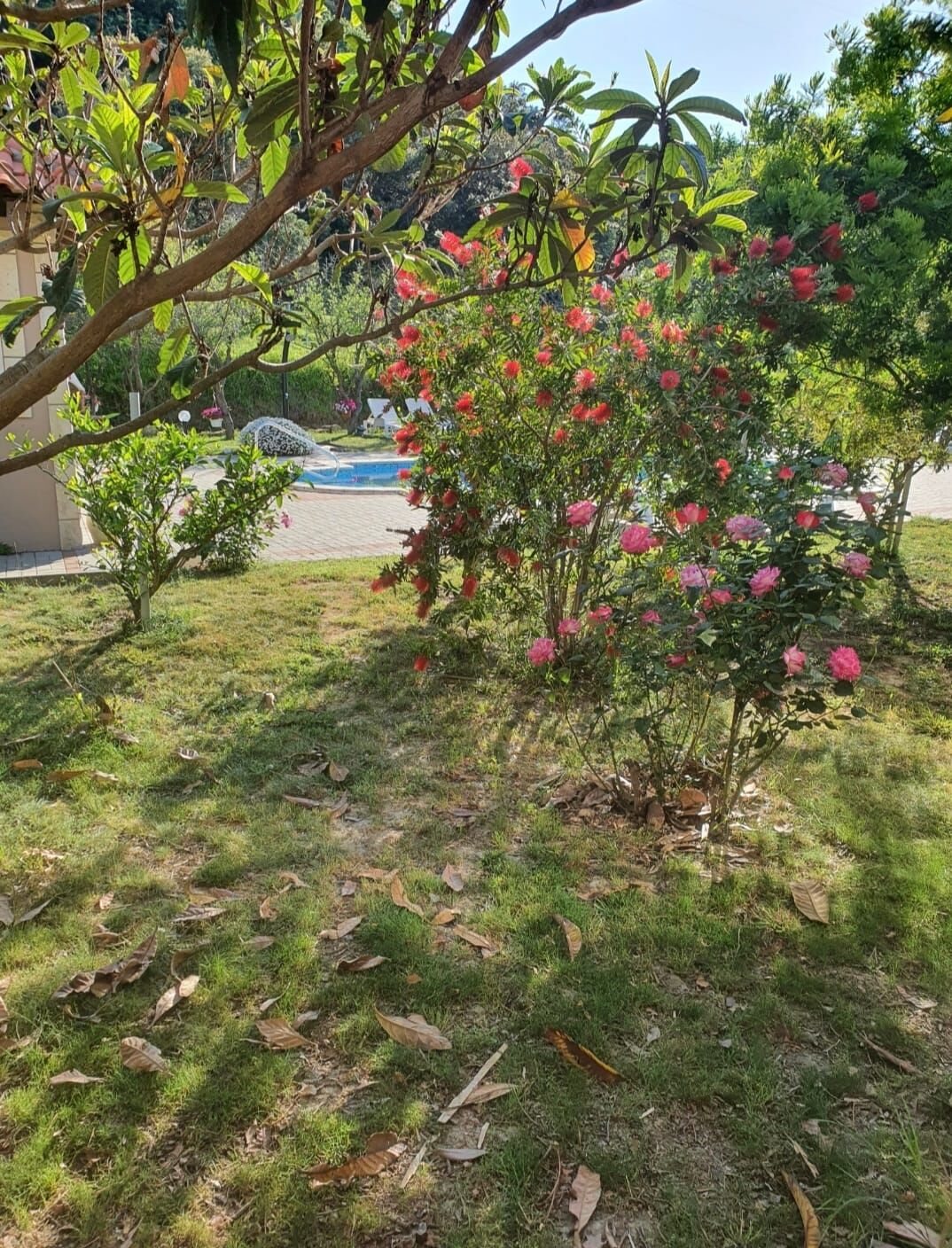Apartments Zeljka B 94761-A1