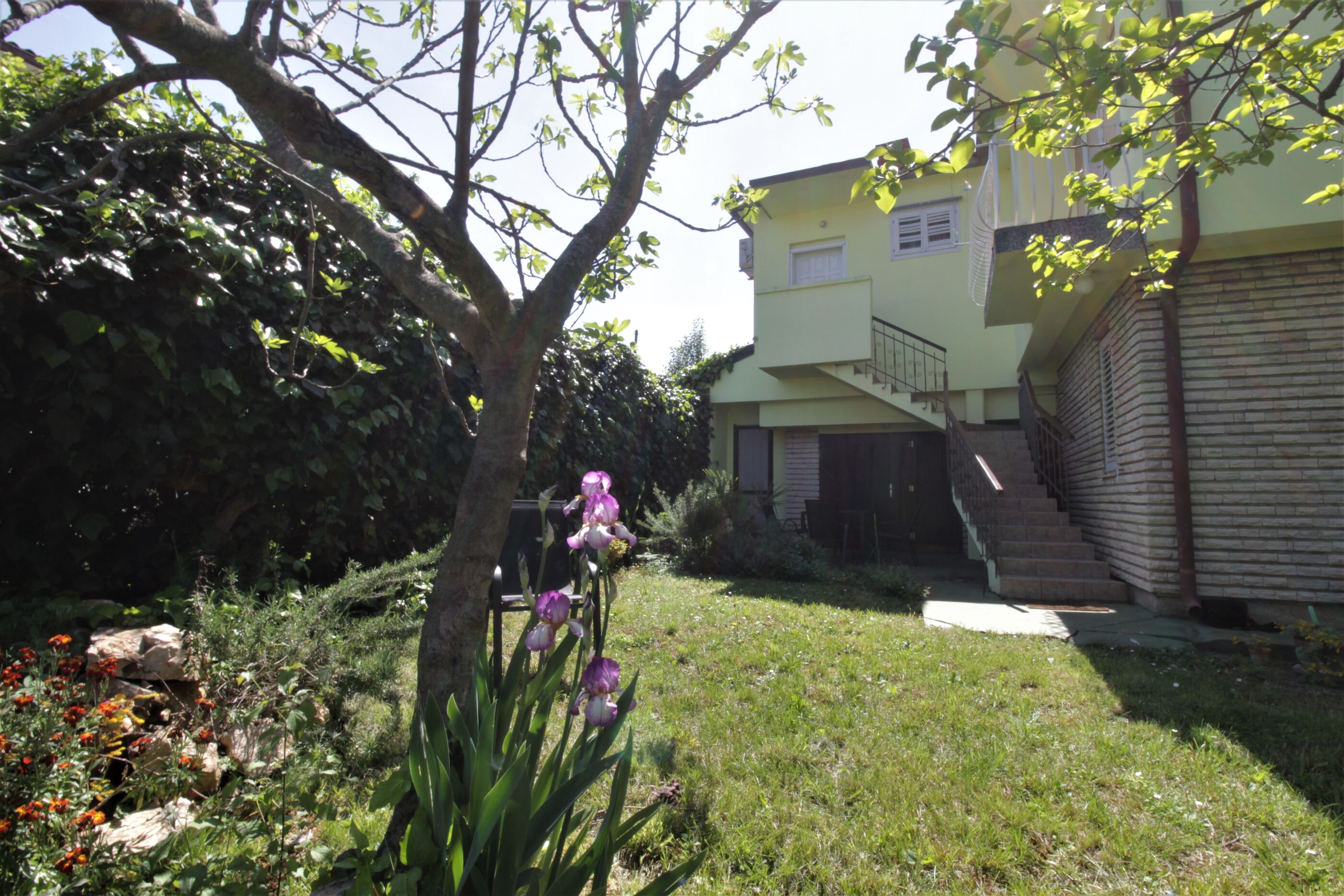 Photo of Apartment SEA STAR