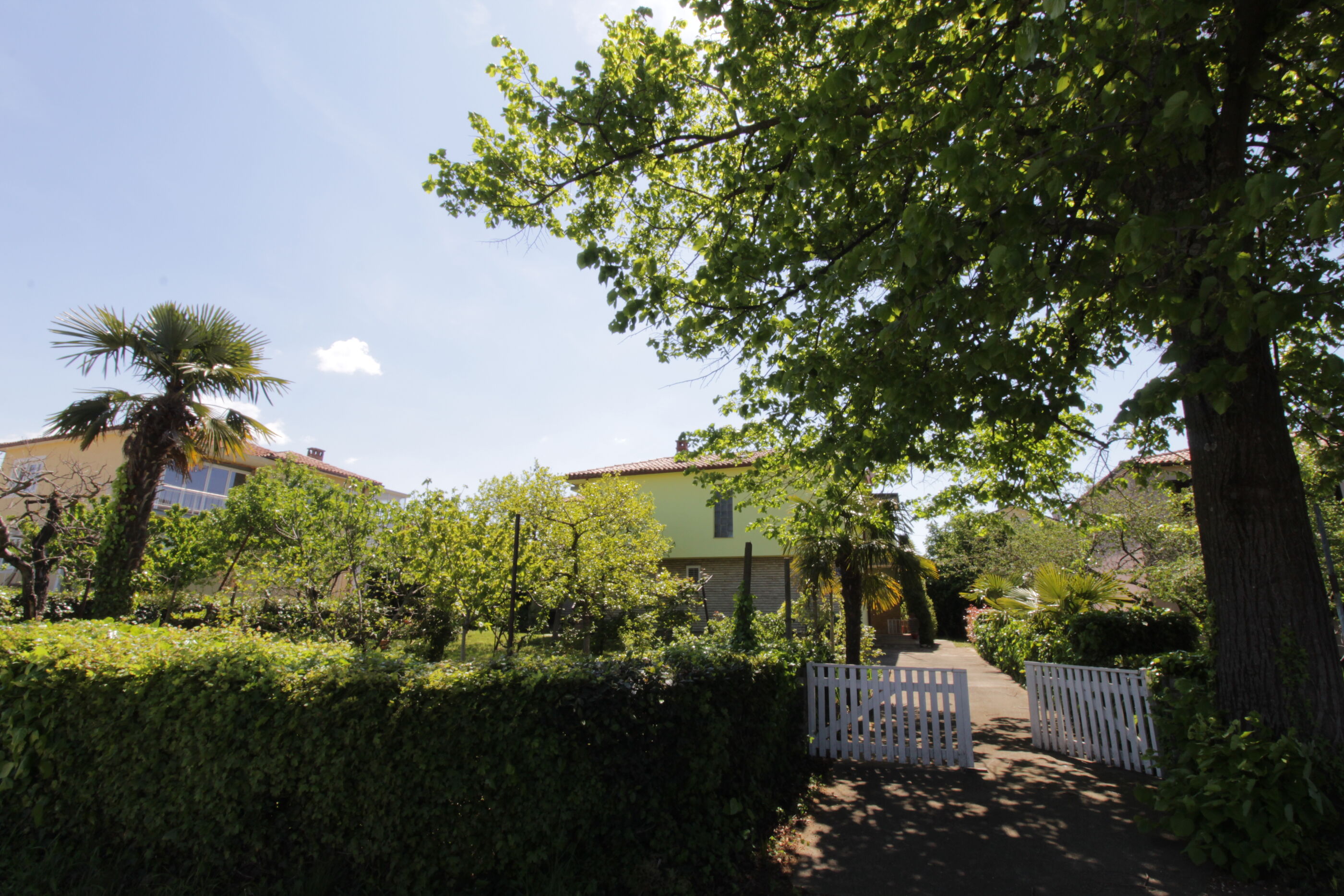 Photo of Apartment SEA STAR