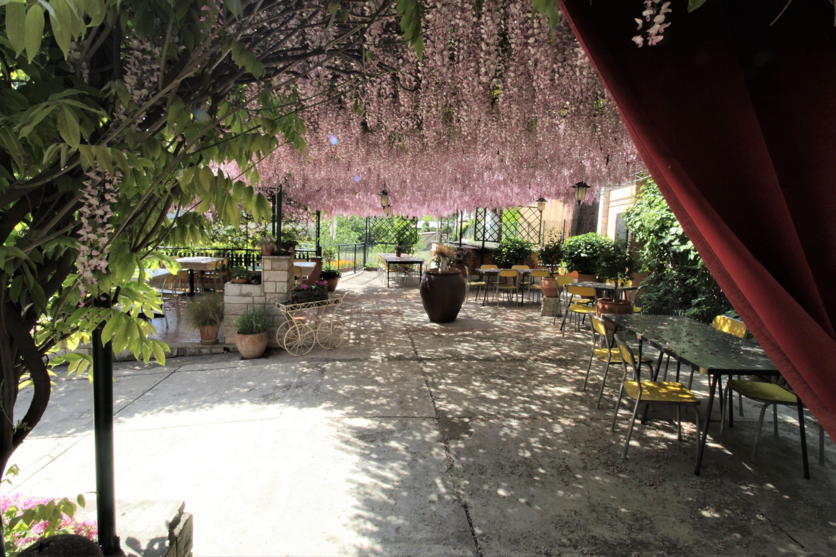 Apartment Orietta 83312-A1