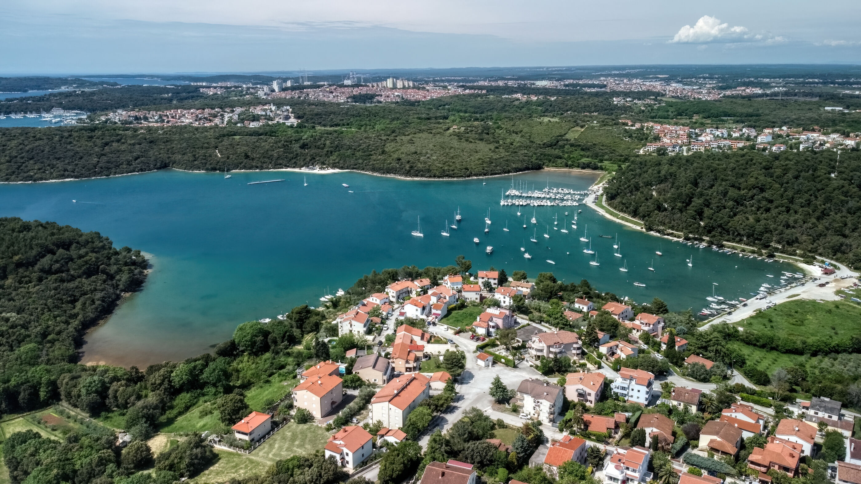 Photo of House Tiny house