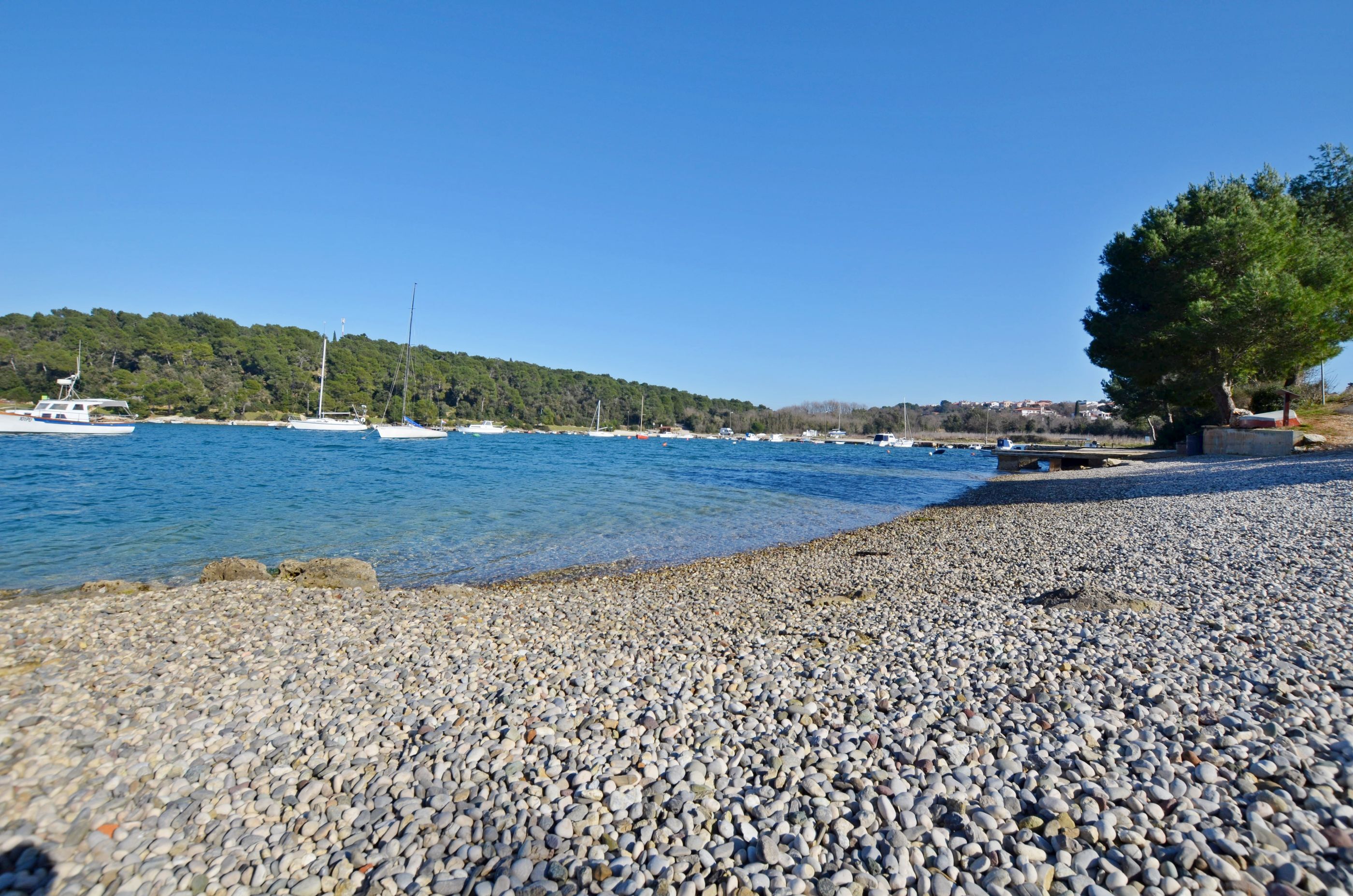 Photo of House Tiny house