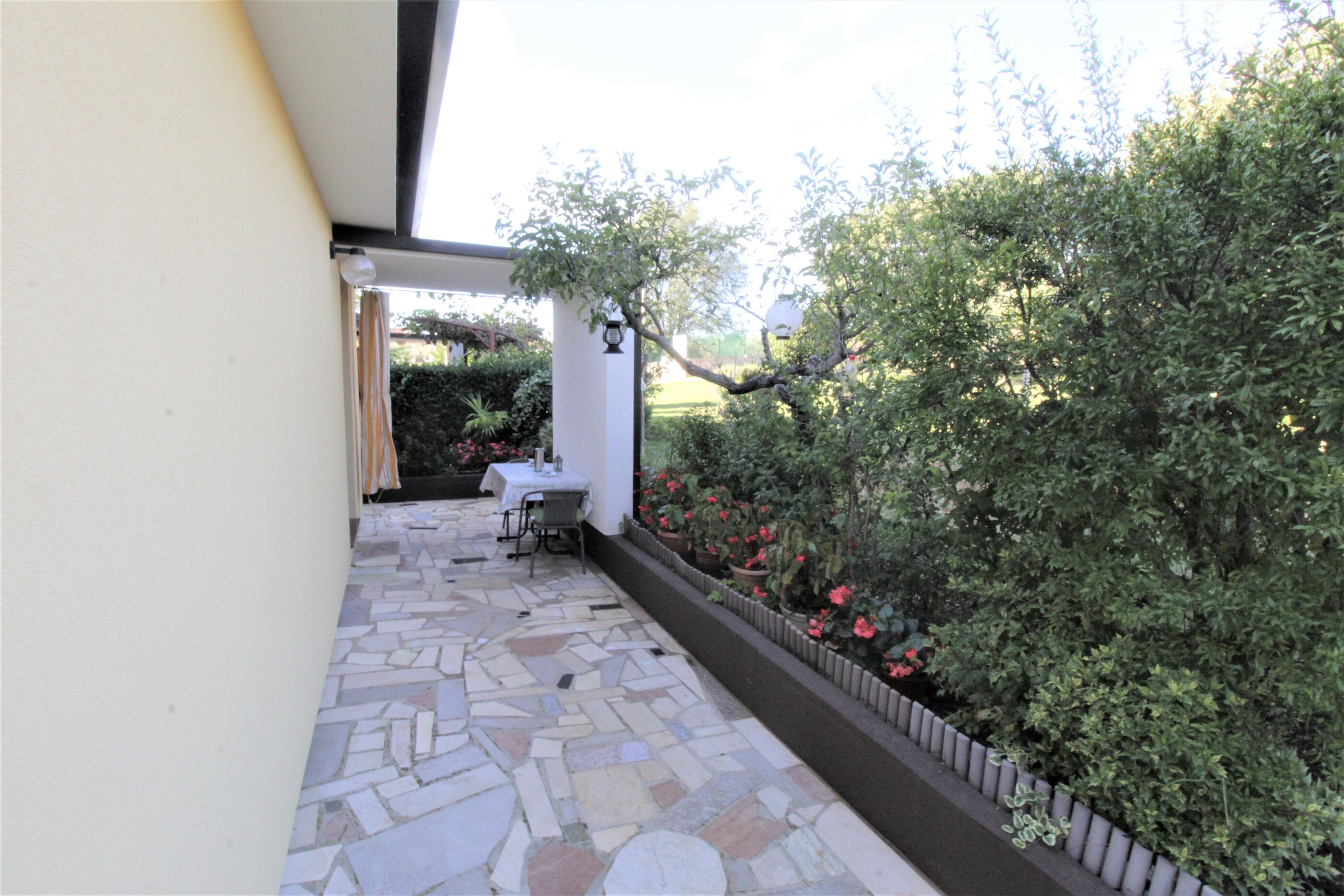 Apartments Graziella Zambratija 90323-A2