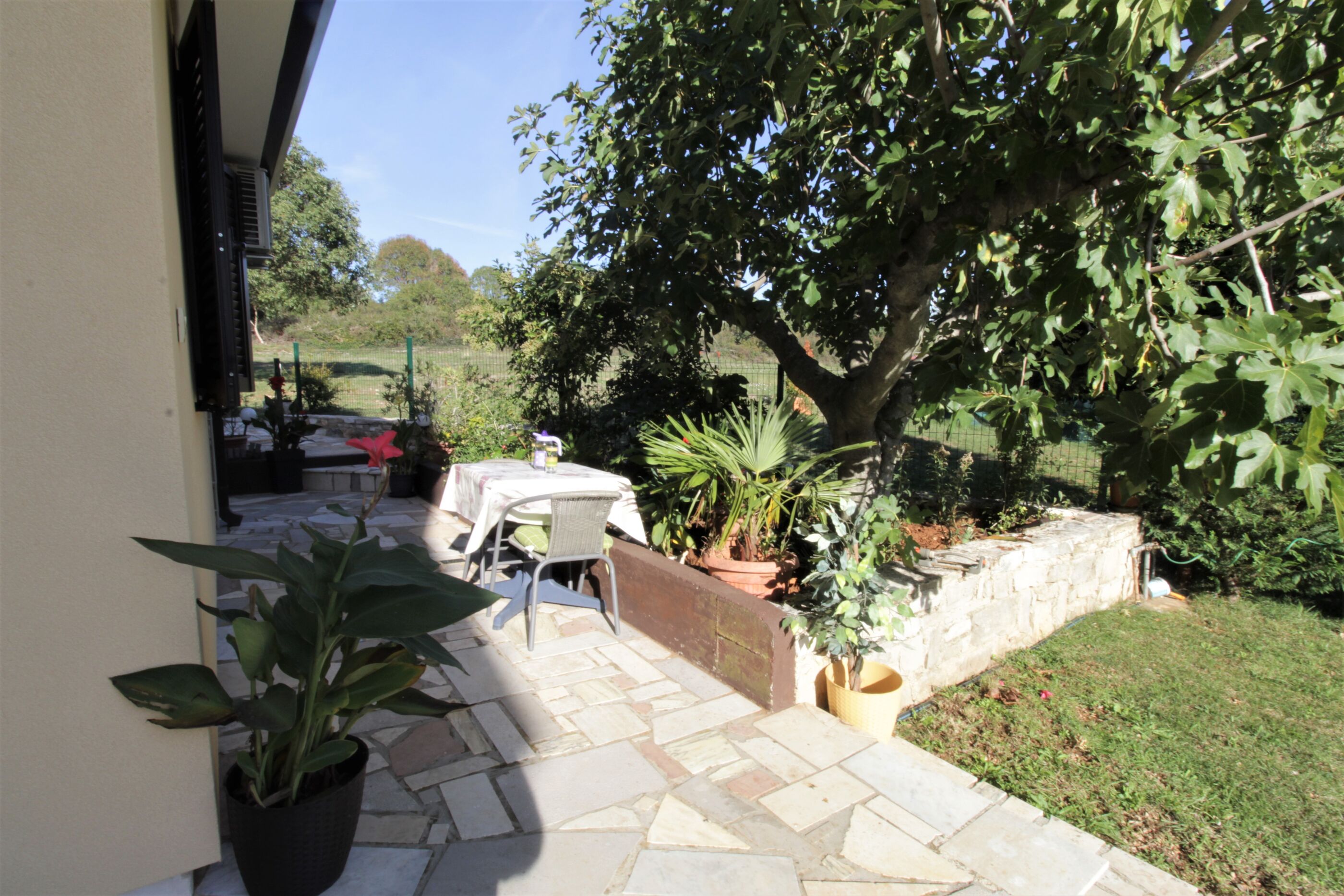 Apartments Graziella Zambratija 90323-A2