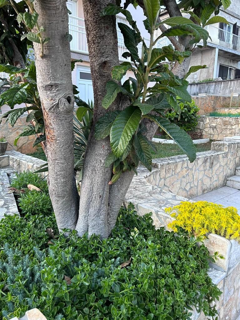 Apartment Andrea 74031-A1