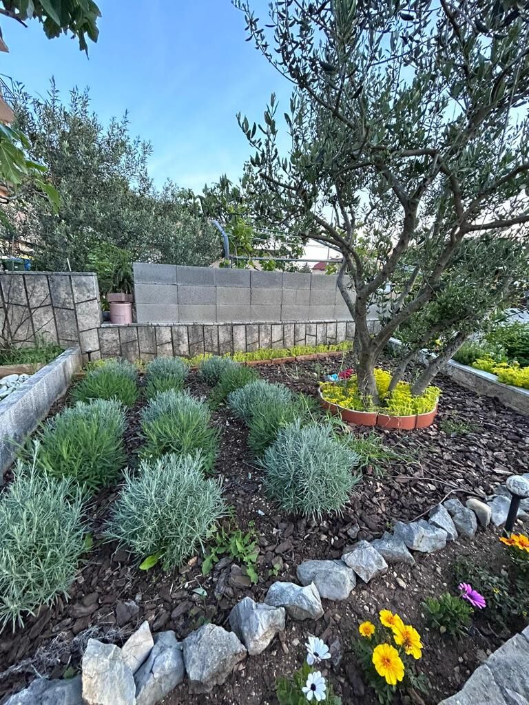 Apartment Andrea 74031-A1