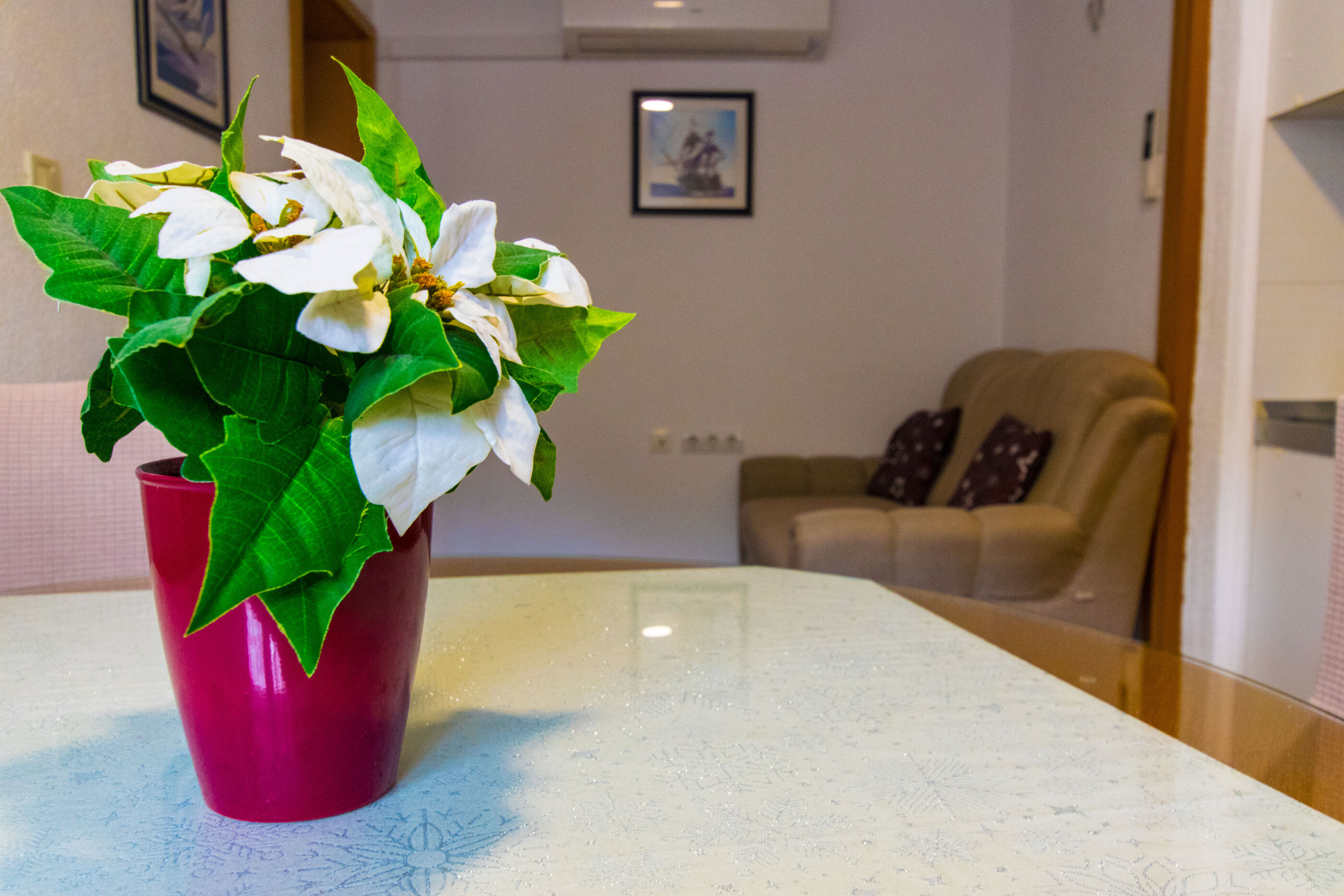 Apartment Katica 95211-A1
