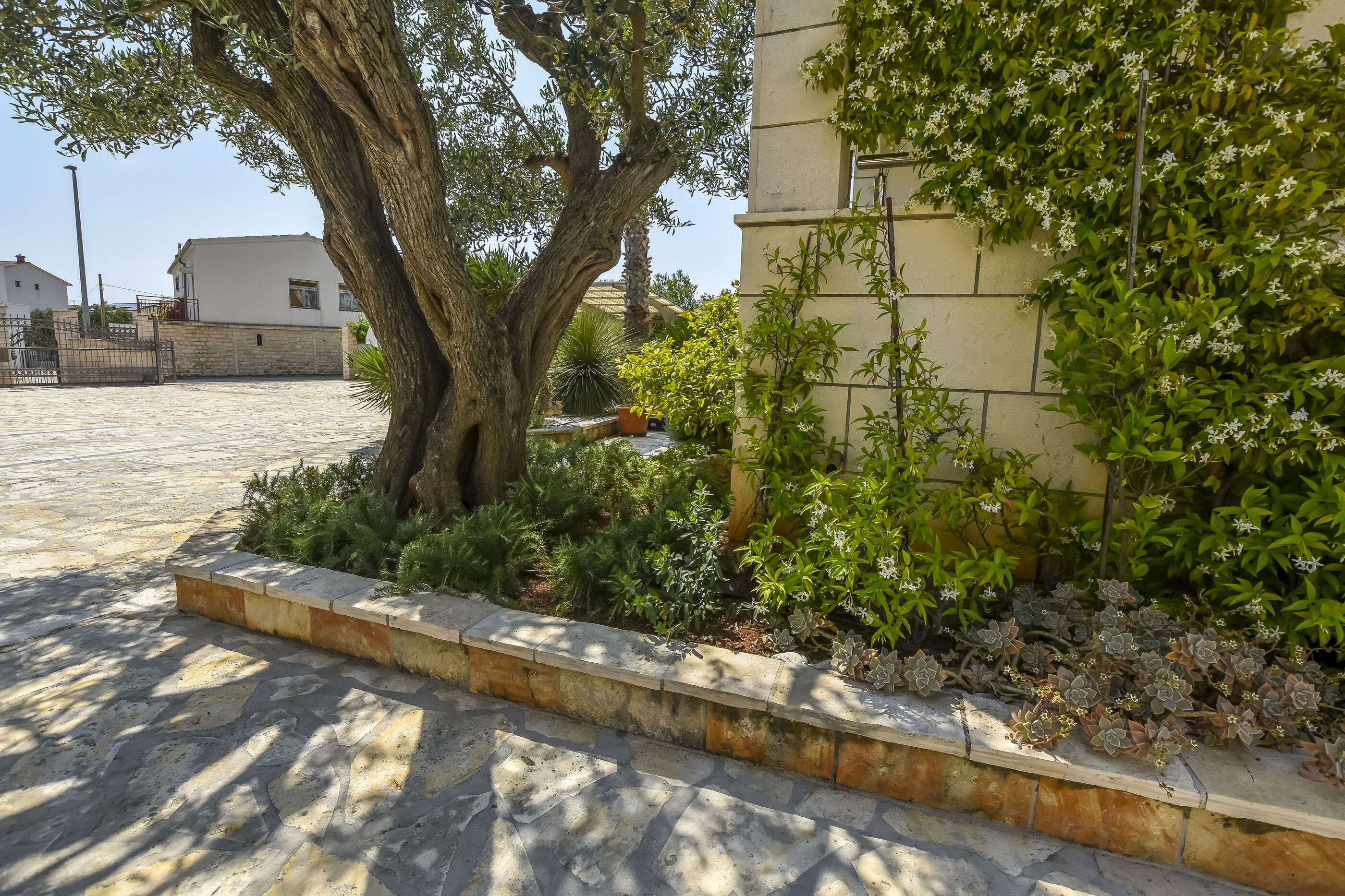 Apartments Aurel 40411-A3