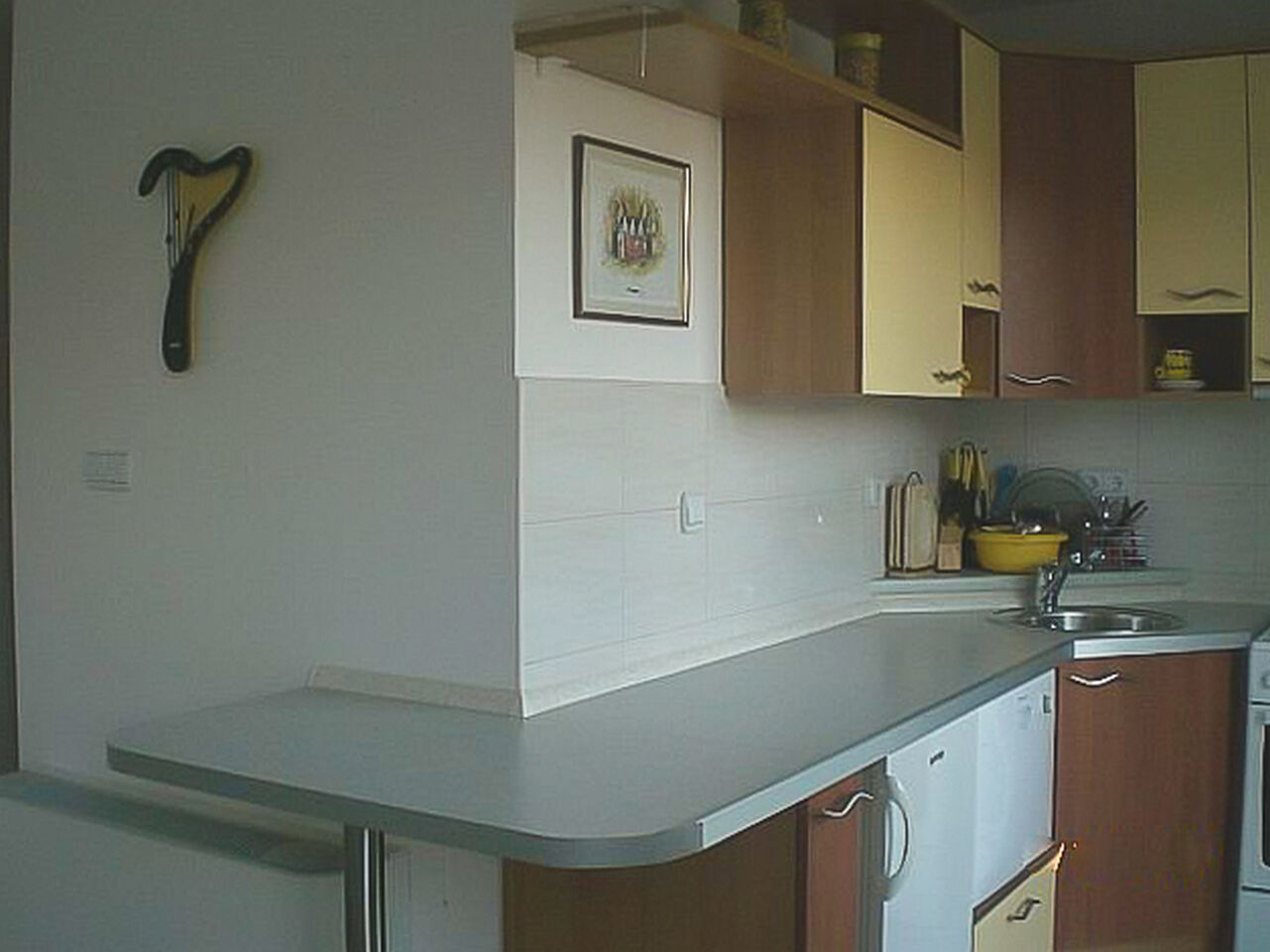 Apartments Tanja 95511-A1