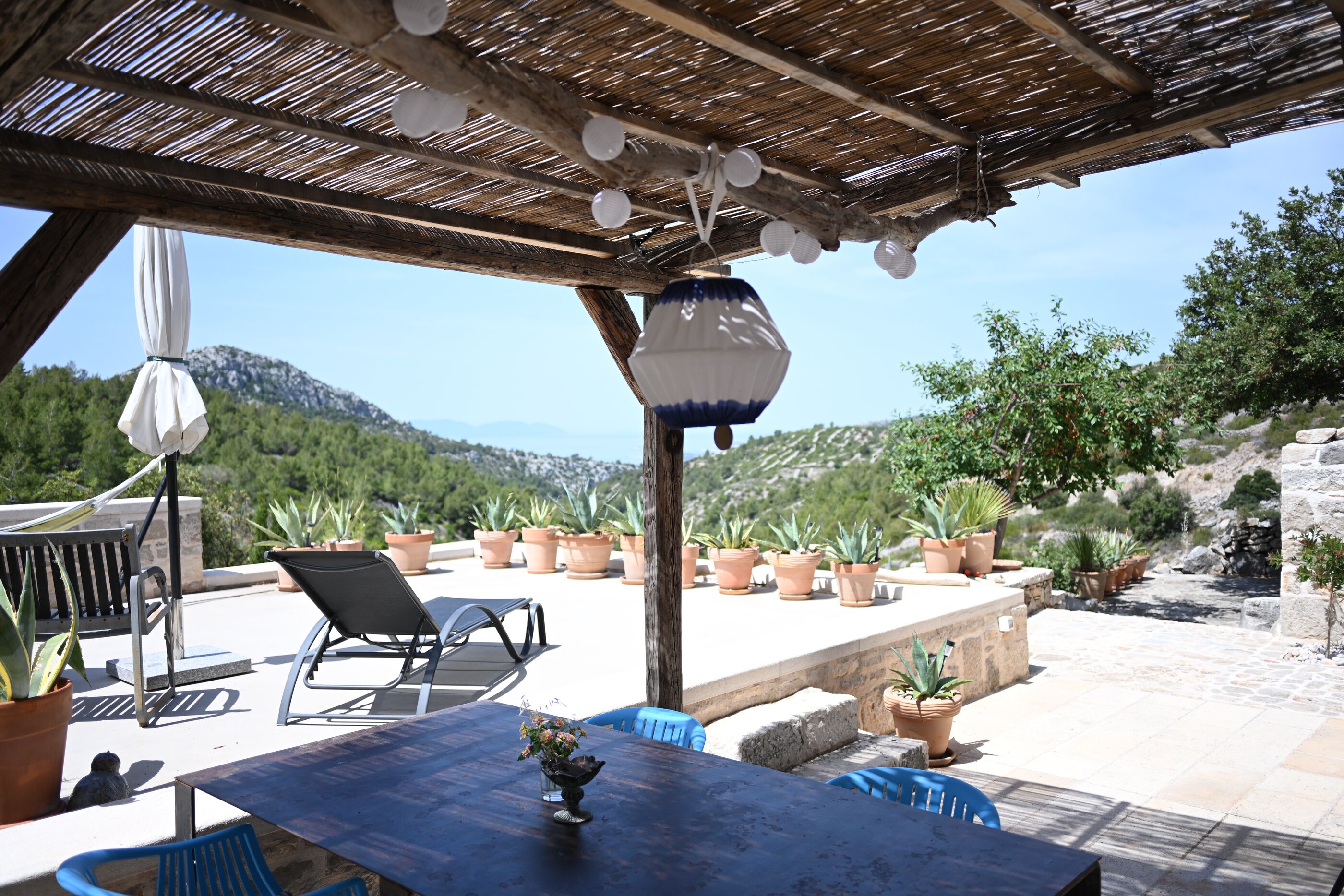 House Agava 95561-K1