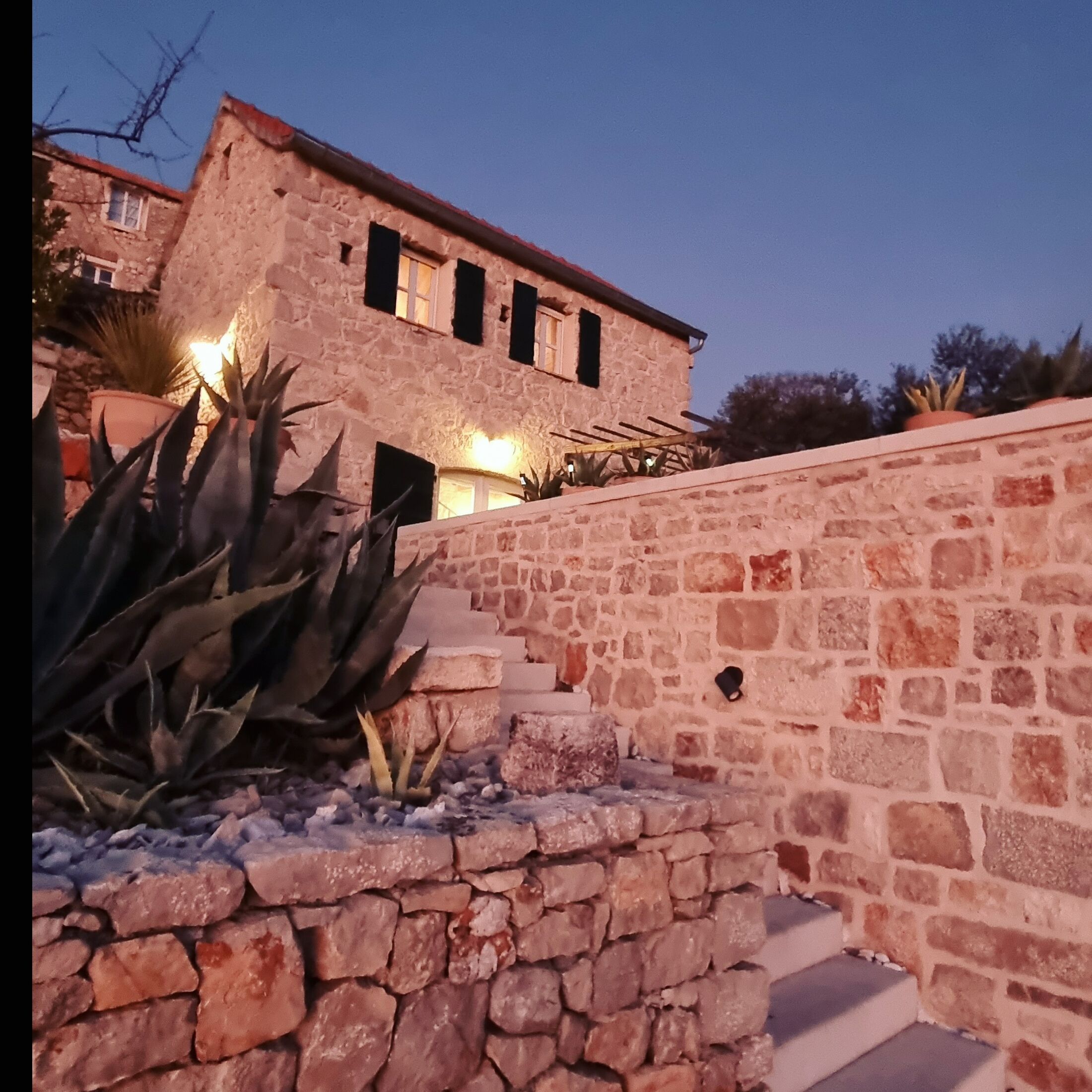 House Agava 95561-K1