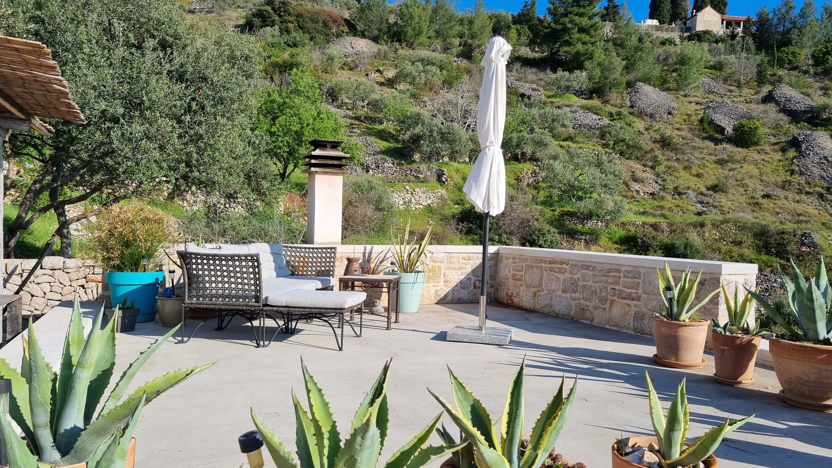House Agava 95561-K1