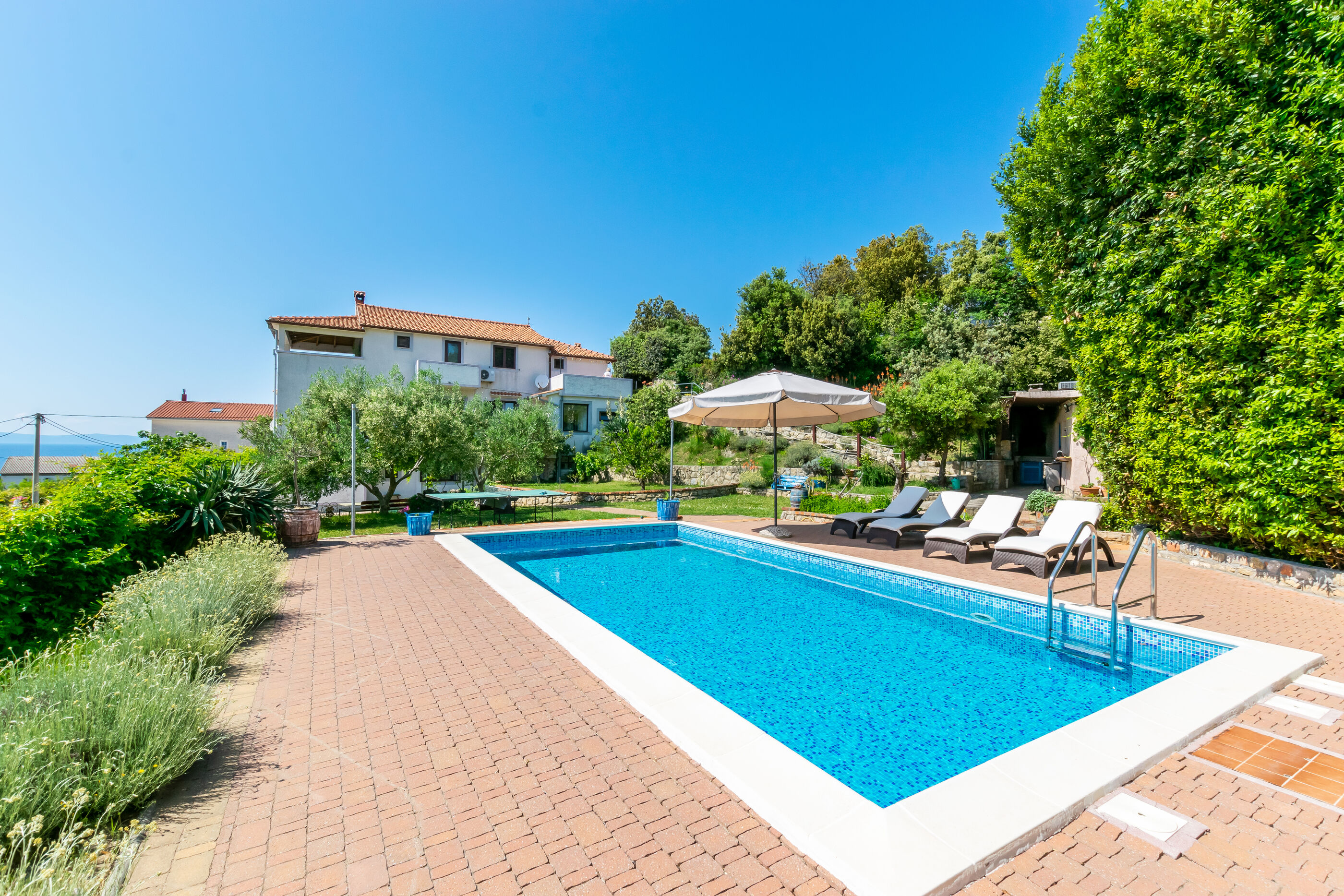 Apartments Zeljko 95571-A2