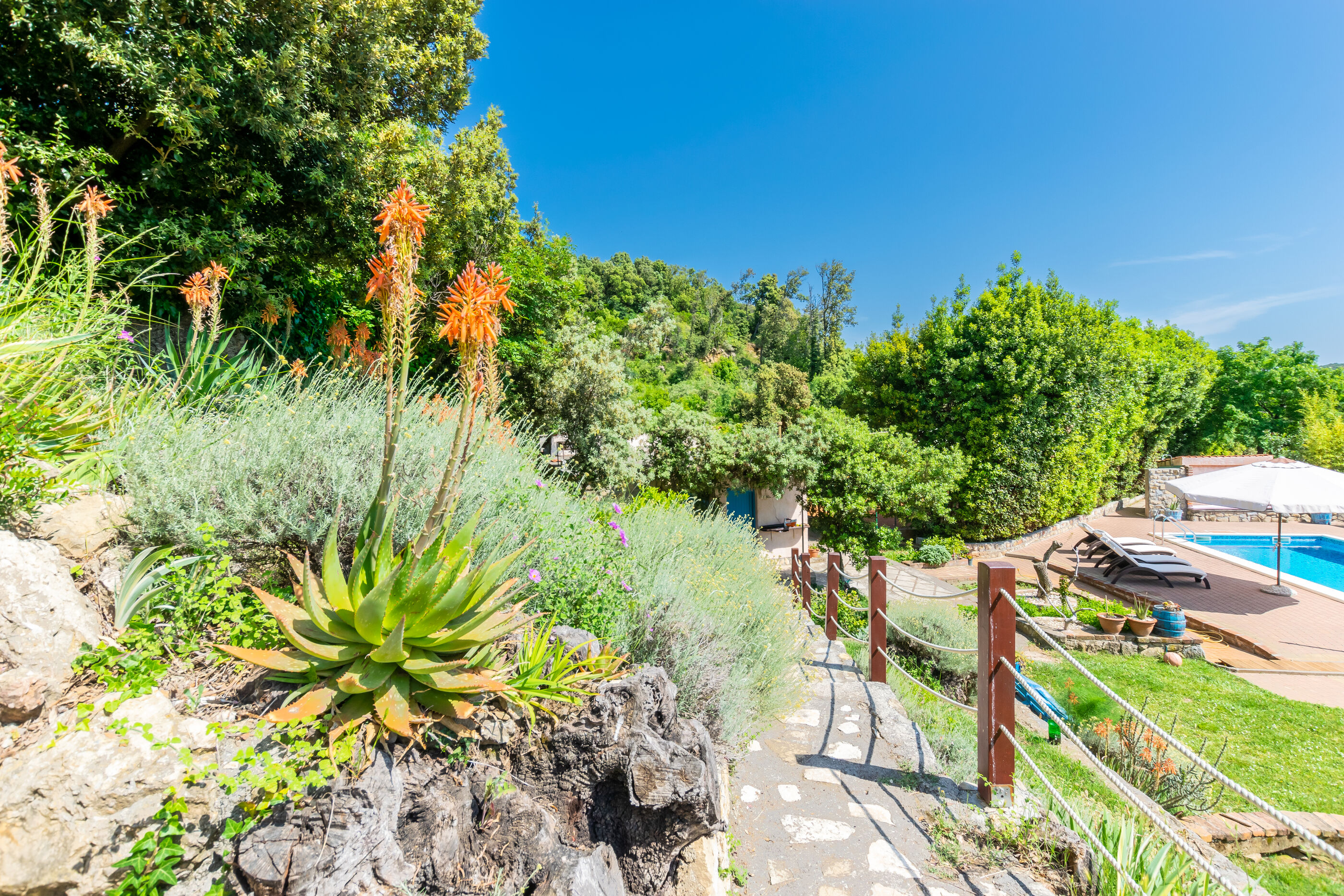 Photo of Apartments Zeljko