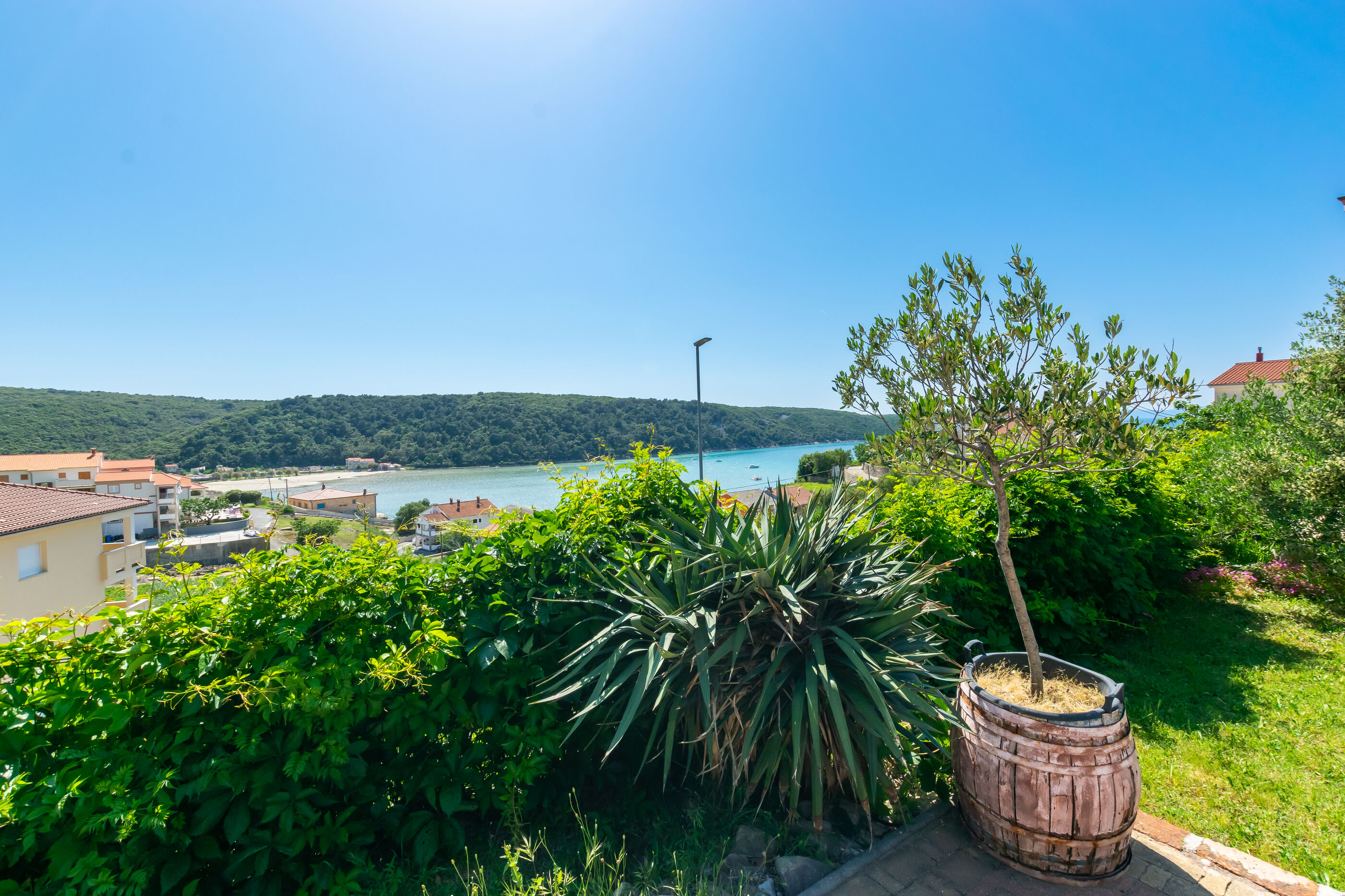 Photo of Apartments Zeljko