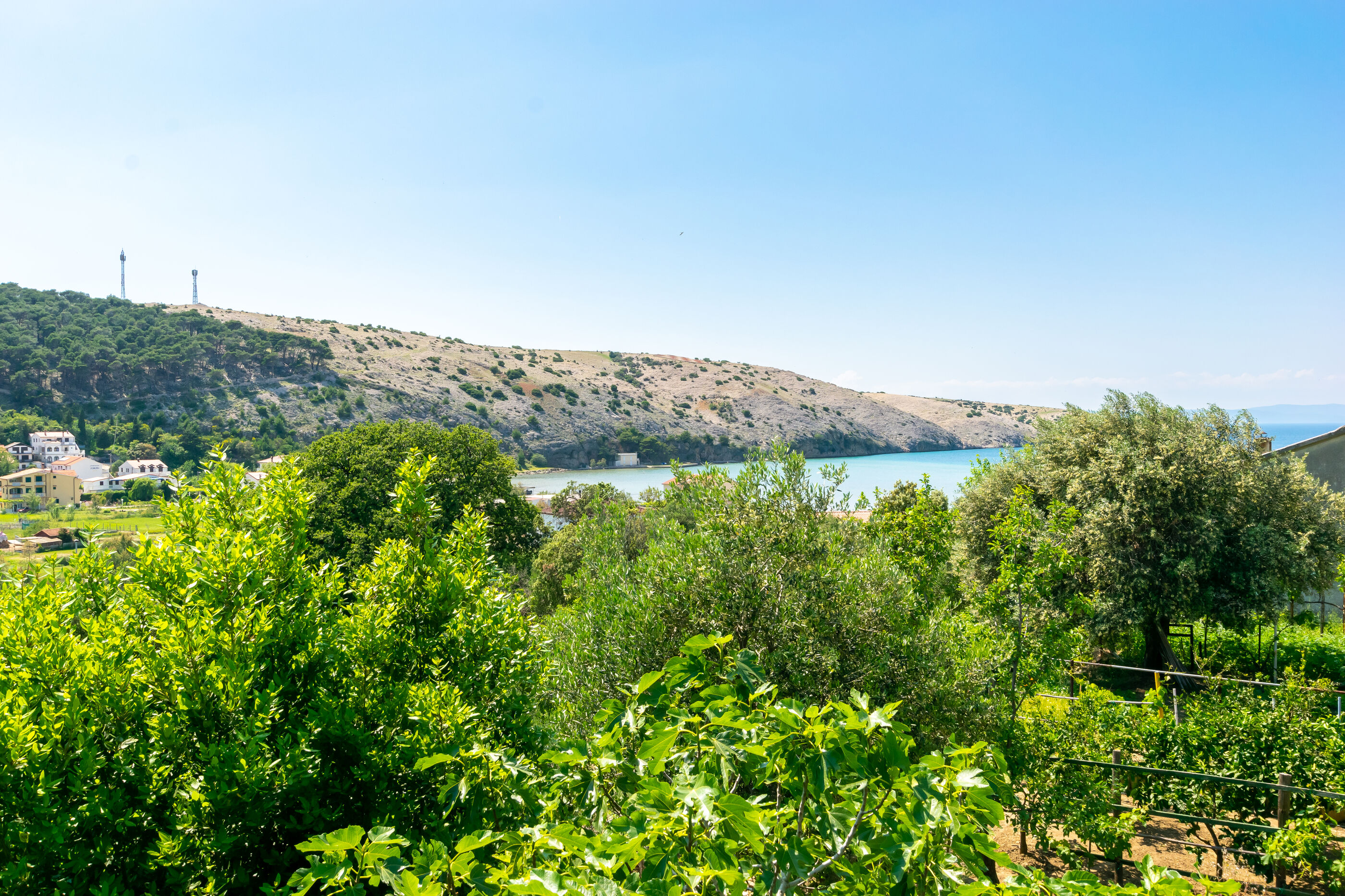 Photo of Apartments Mario