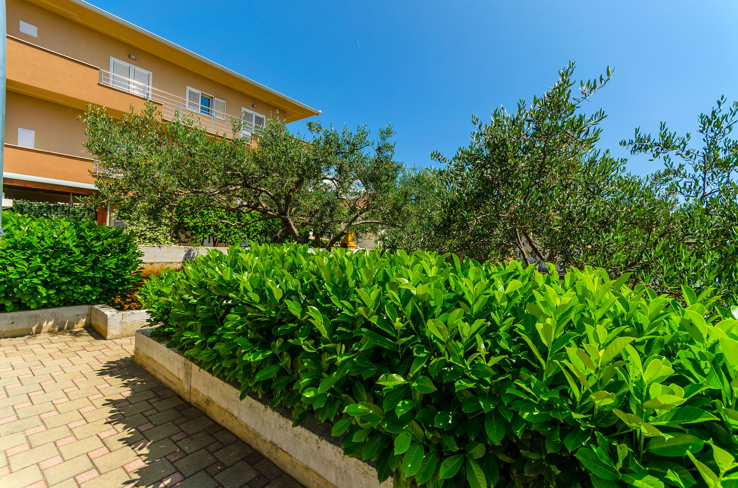 Apartments and Room Maestral 47221-A1