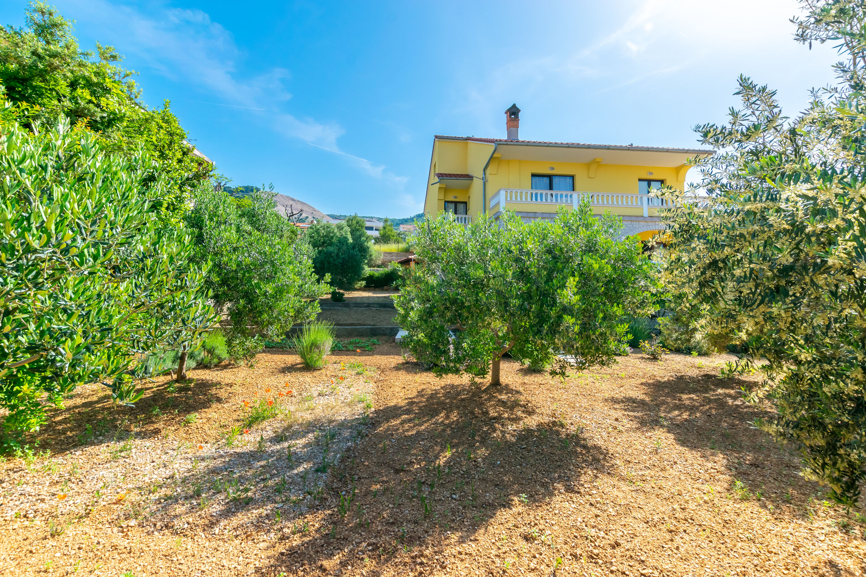 Apartment Lidija 91271-A1