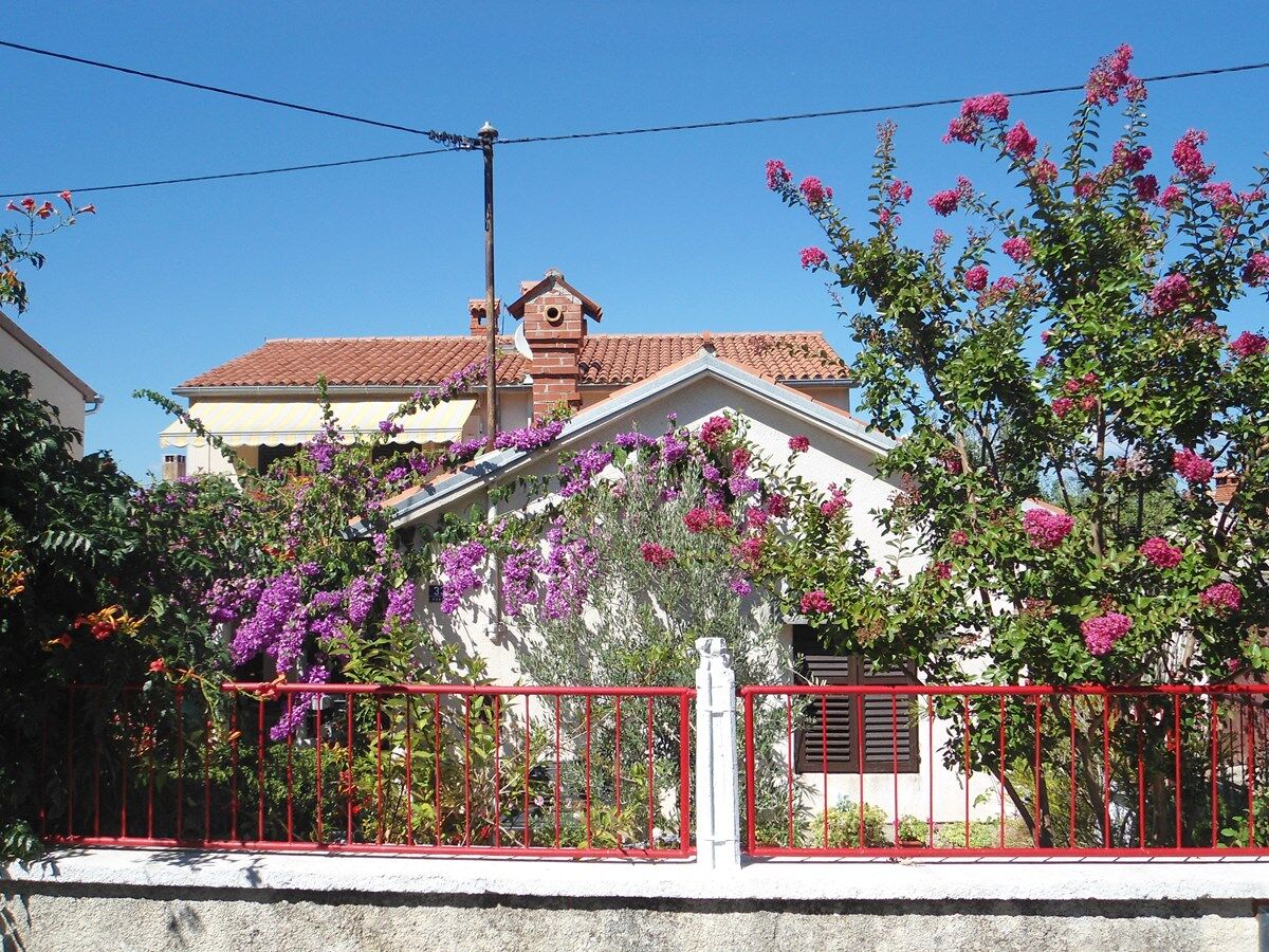 Casa Aurora 73688-A1