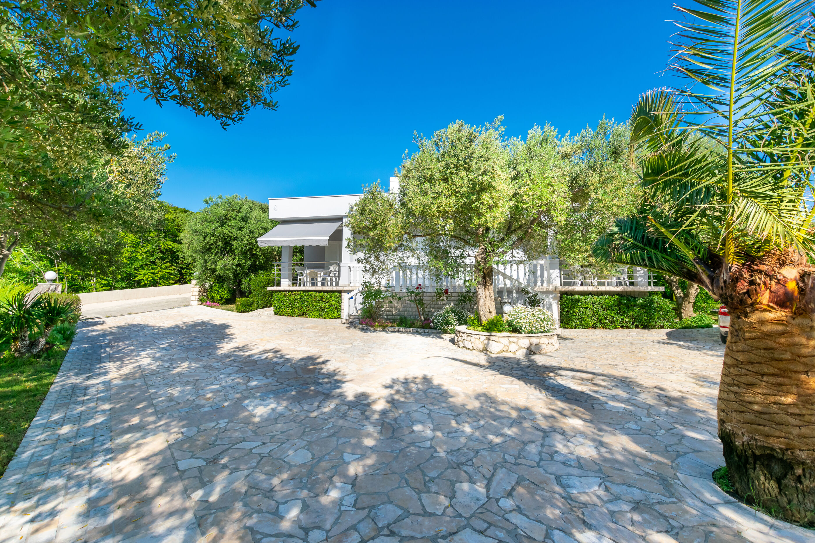 Photo of Apartments Anka