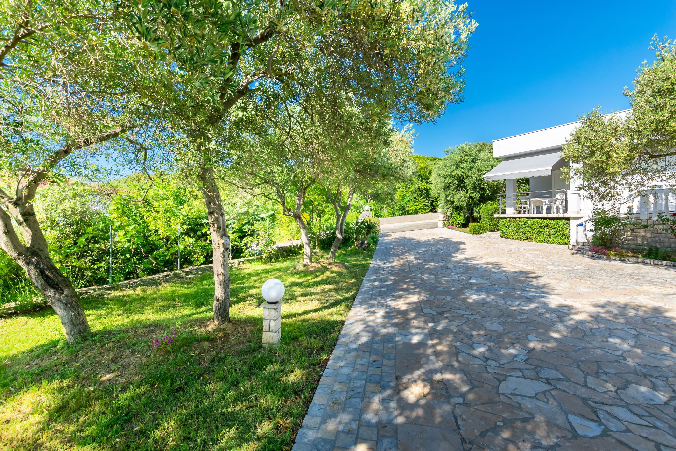 Photo of Apartments Anka