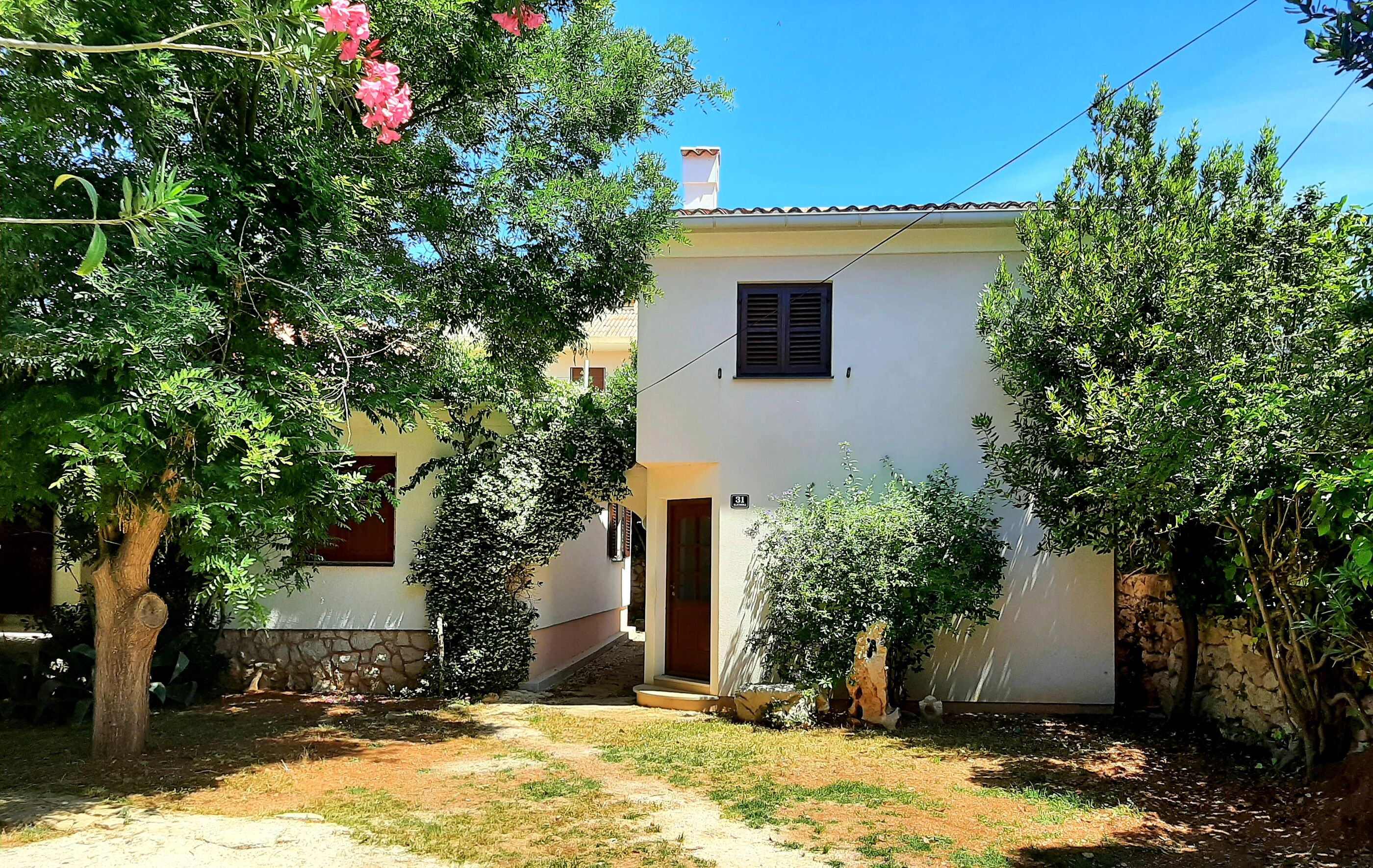 House SUZI 20886-A1