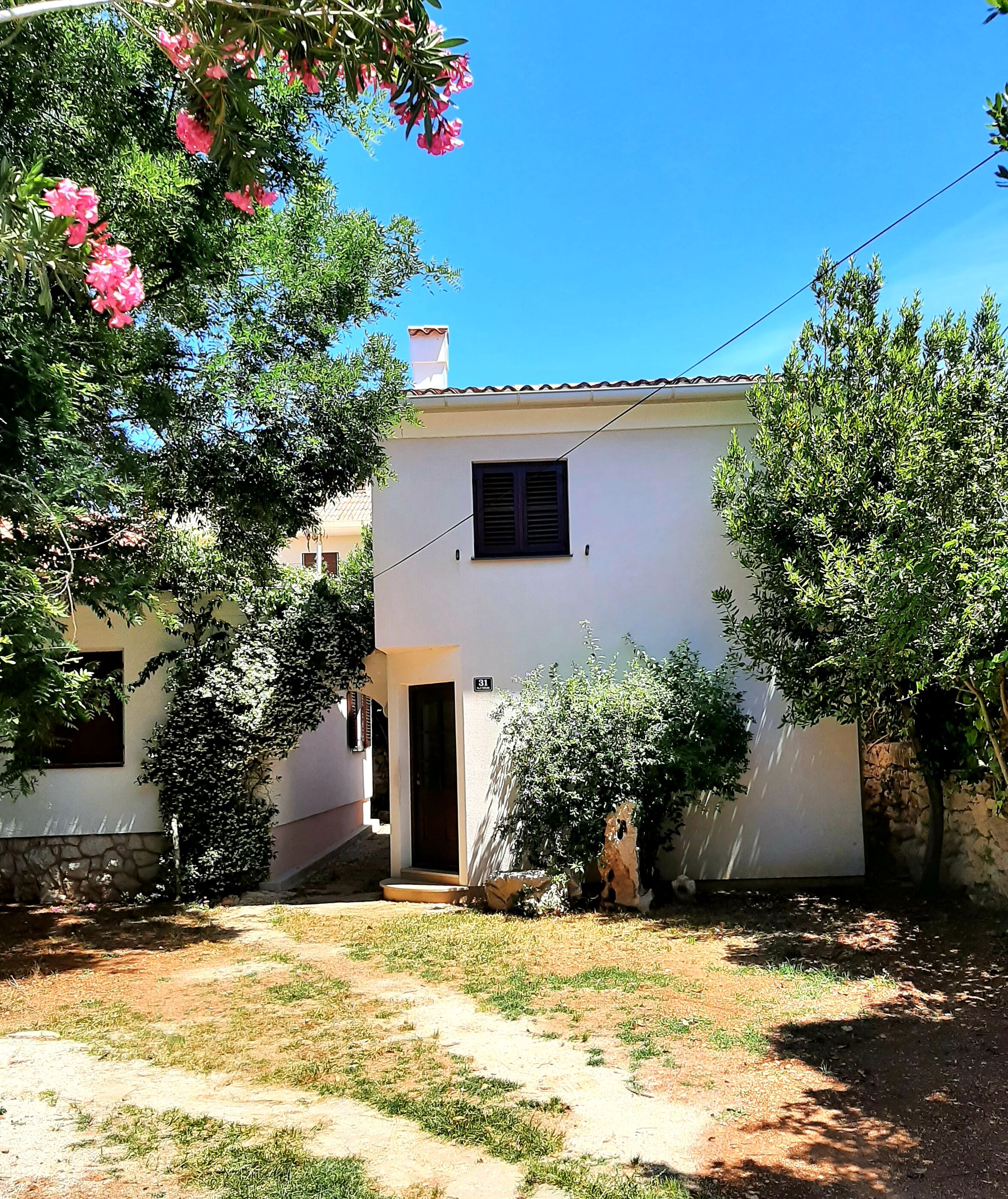 House SUZI 20886-A1