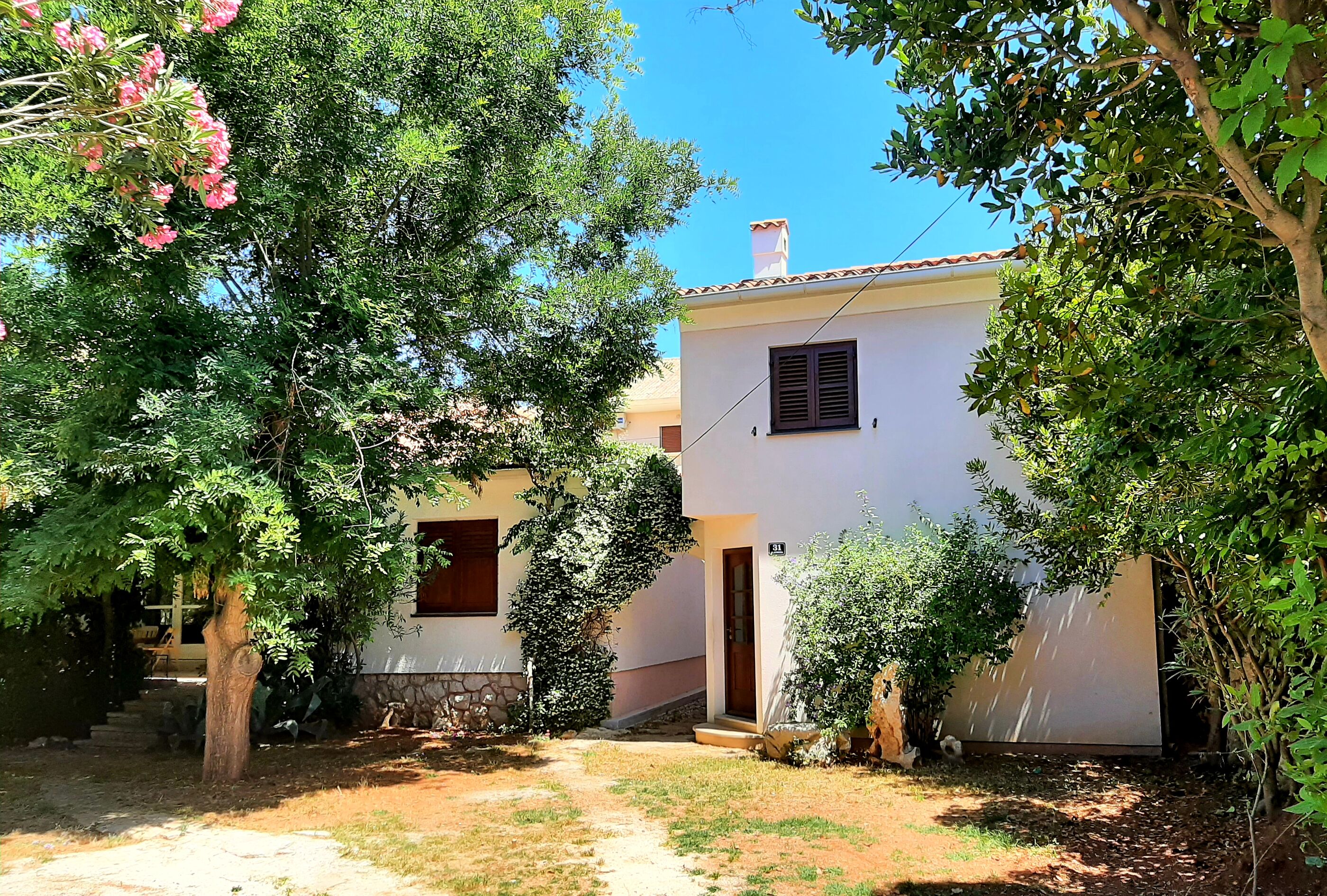 House SUZI 20886-A1