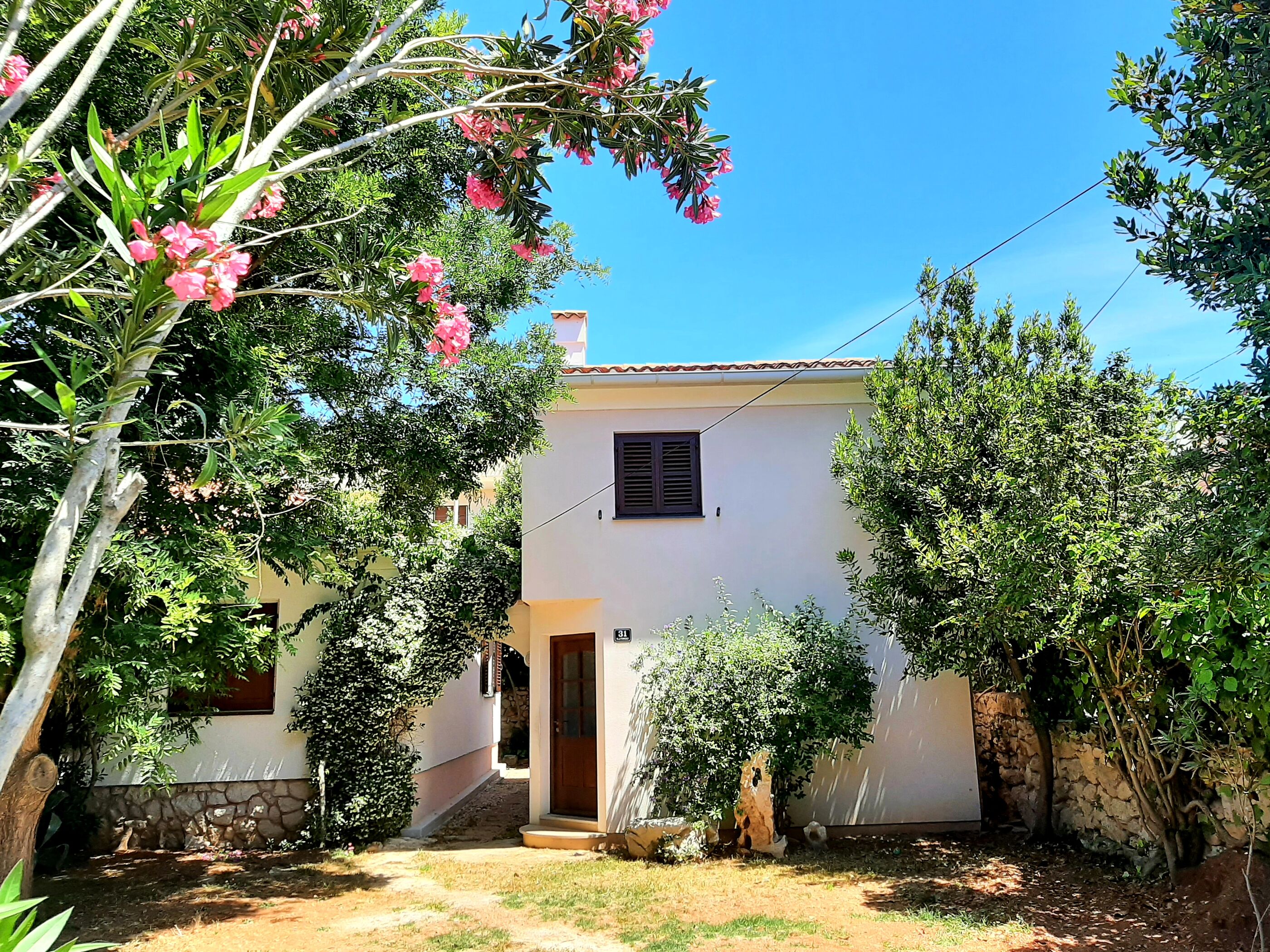 House SUZI 20886-A1