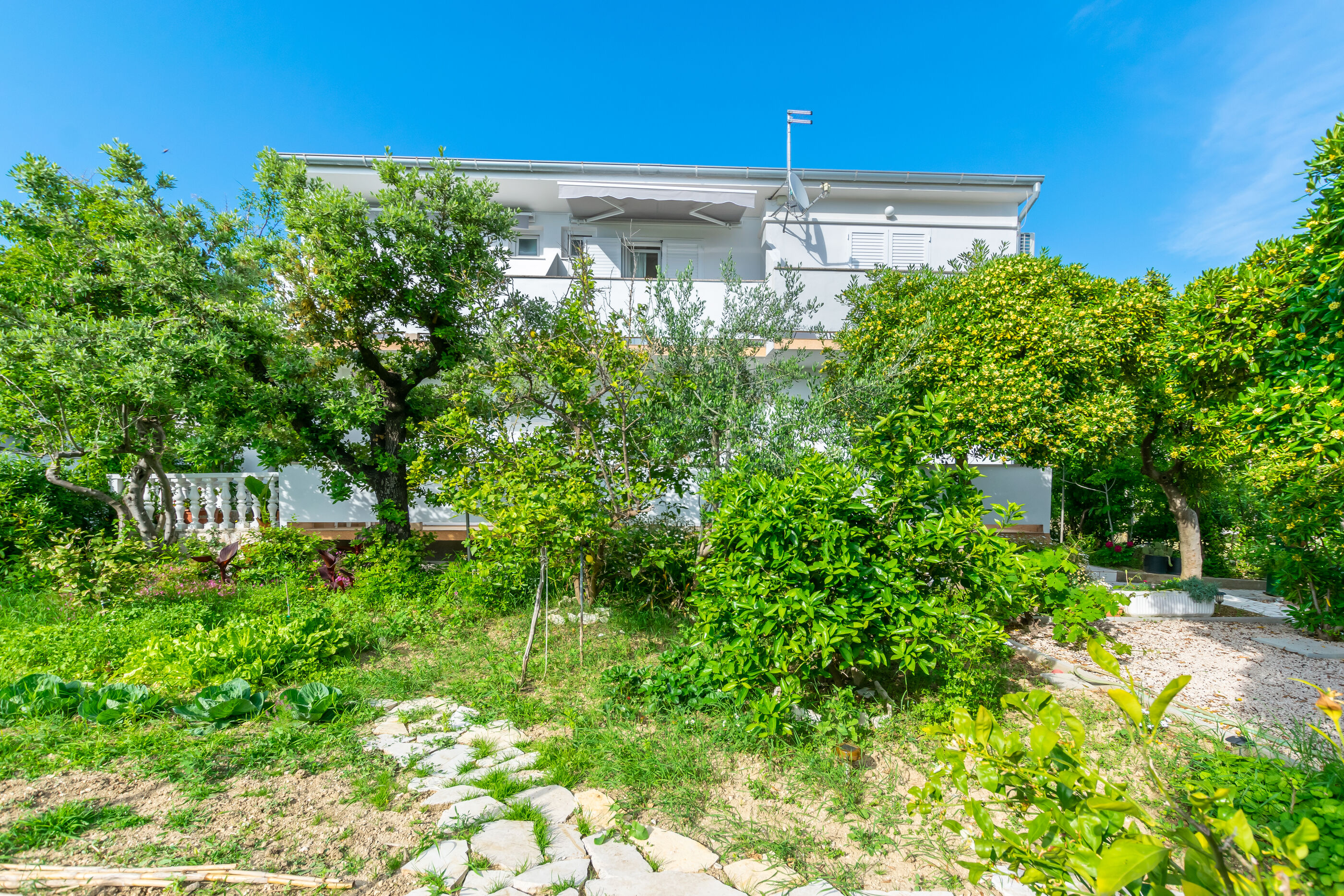 Photo of Apartments and Rooms Bianca