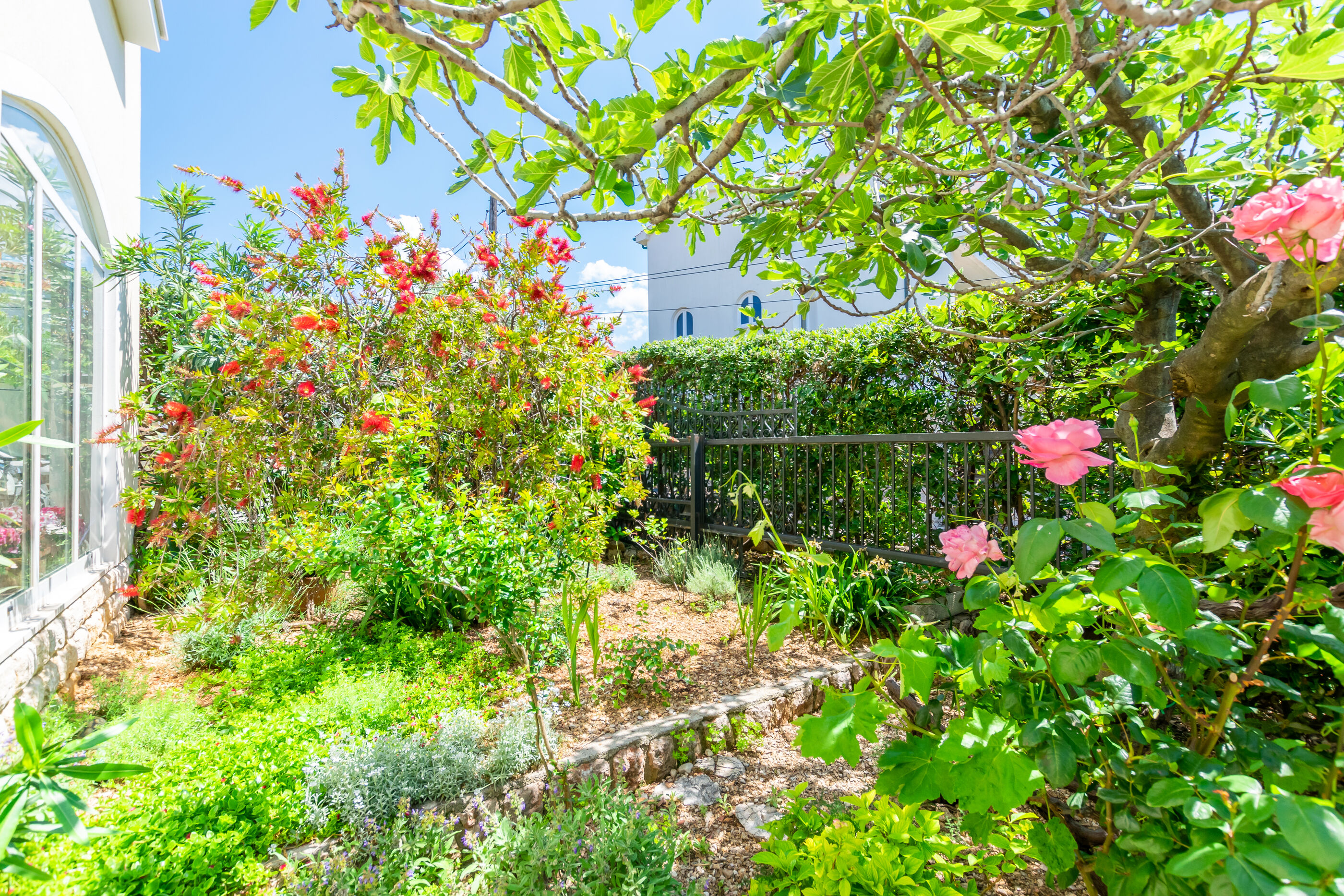 Photo of Apartments Rada i Stanislav