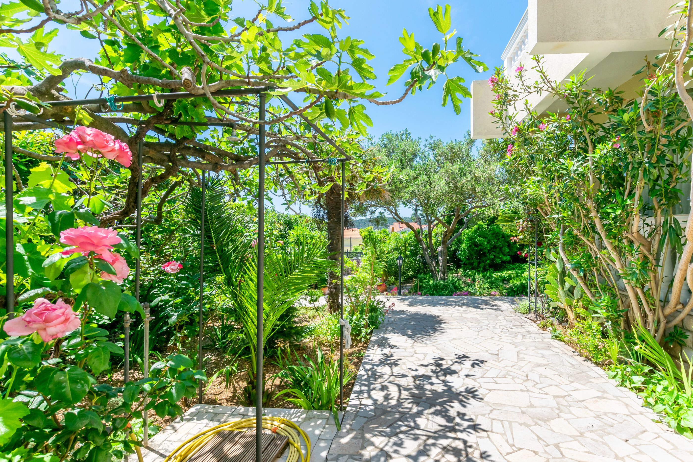 Apartments Rada i Stanislav 91501-A2