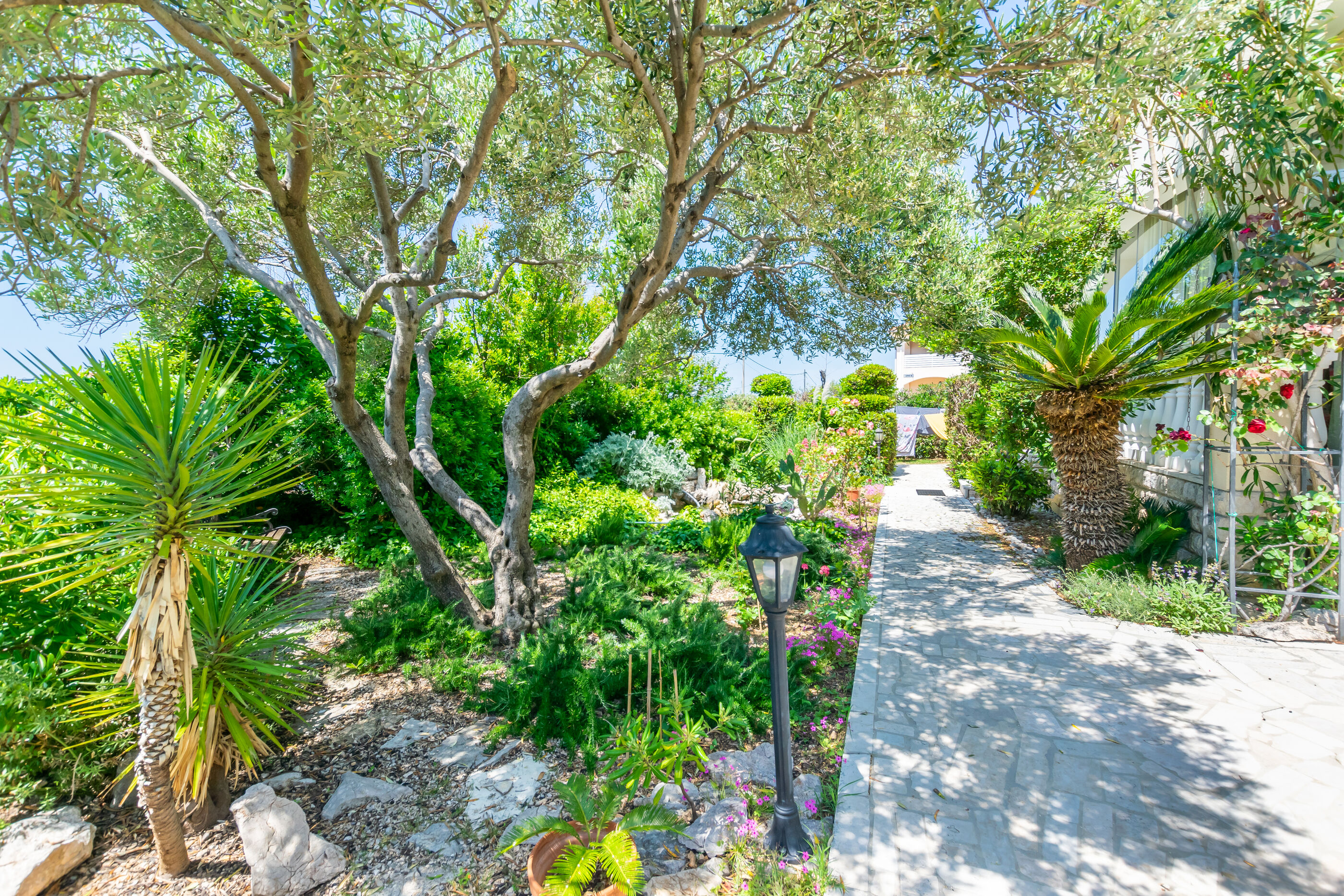 Photo of Apartments Rada i Stanislav